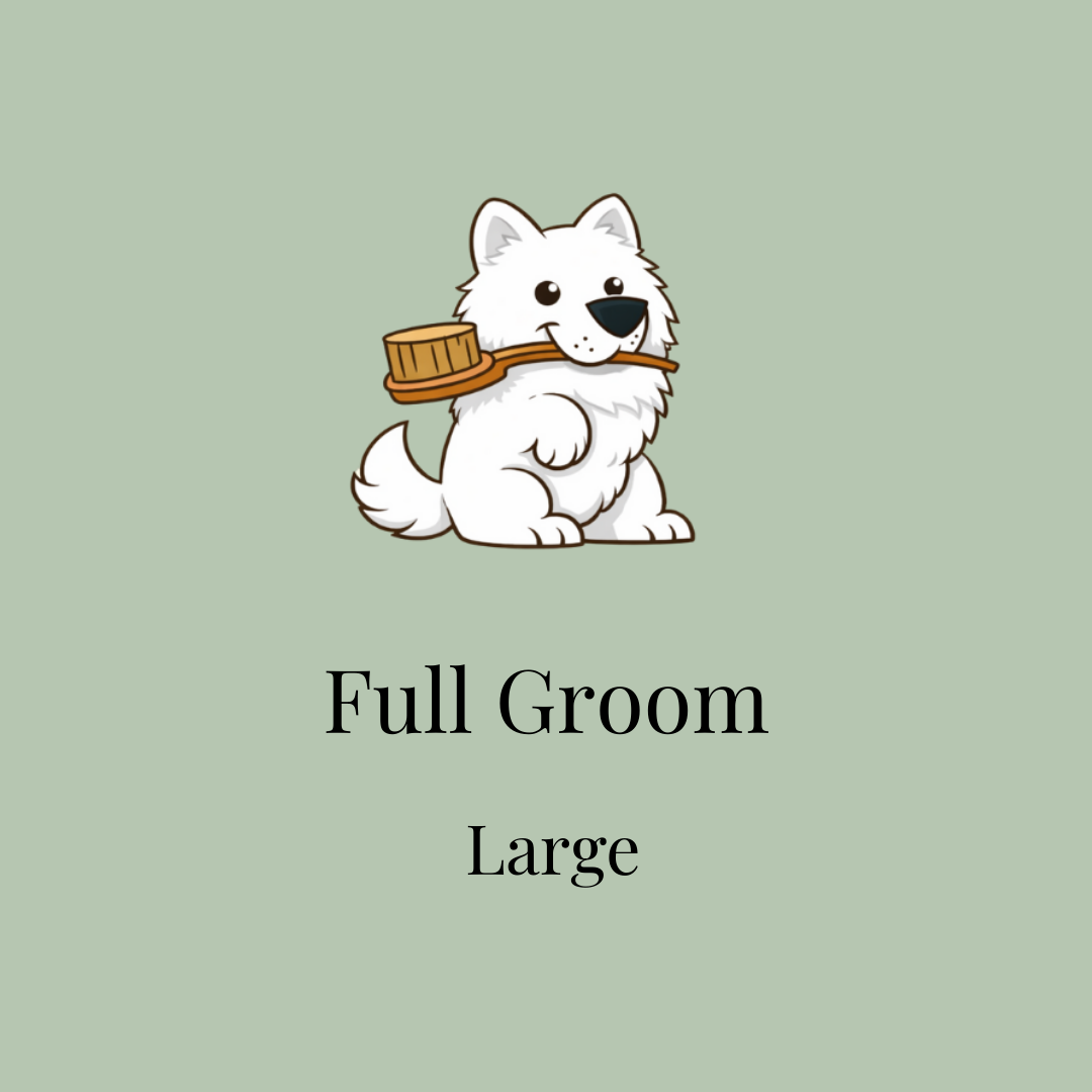 Signature Full Groom - Large
