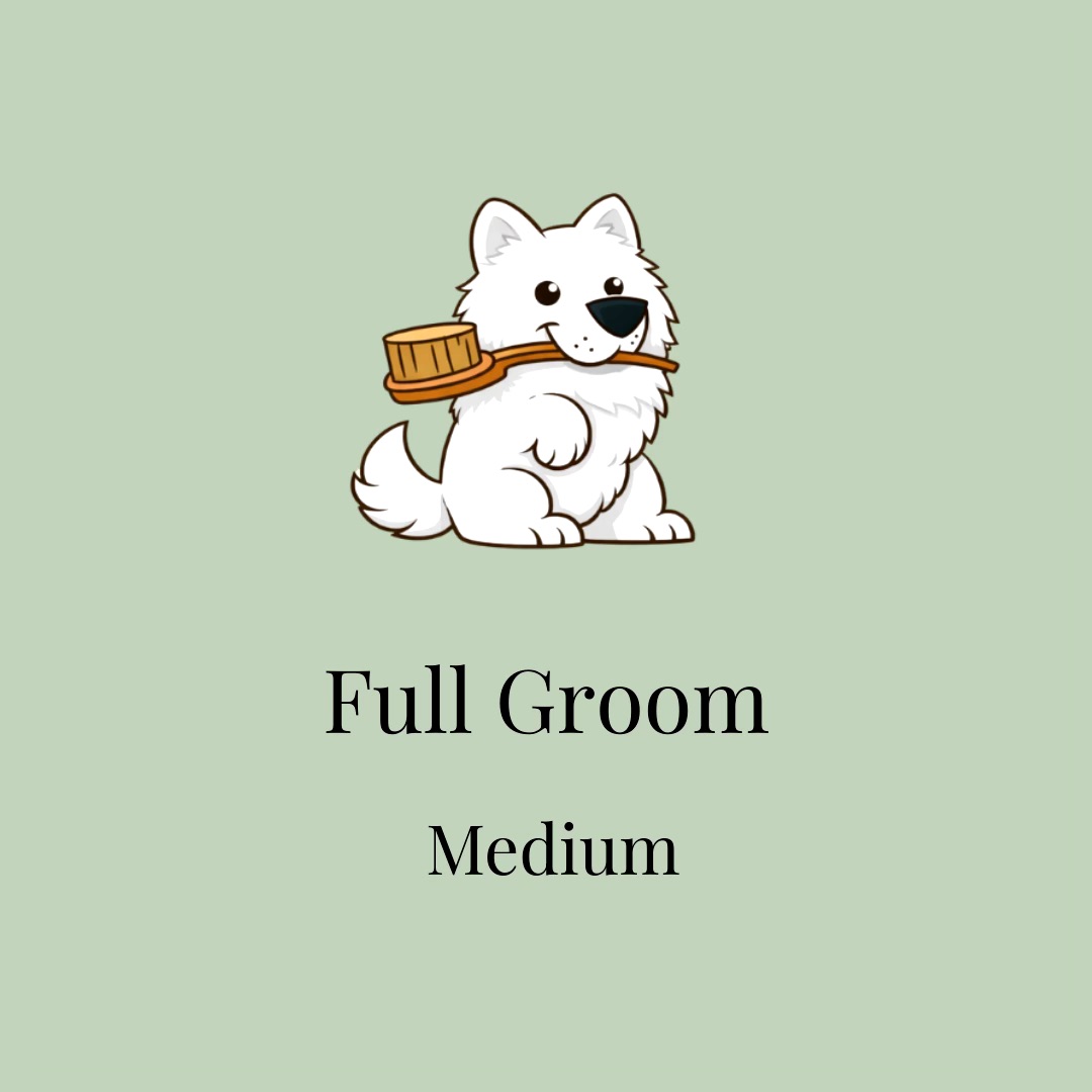 Full Groom: Medium
