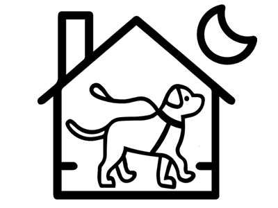 Play & Paws HQ pet services
