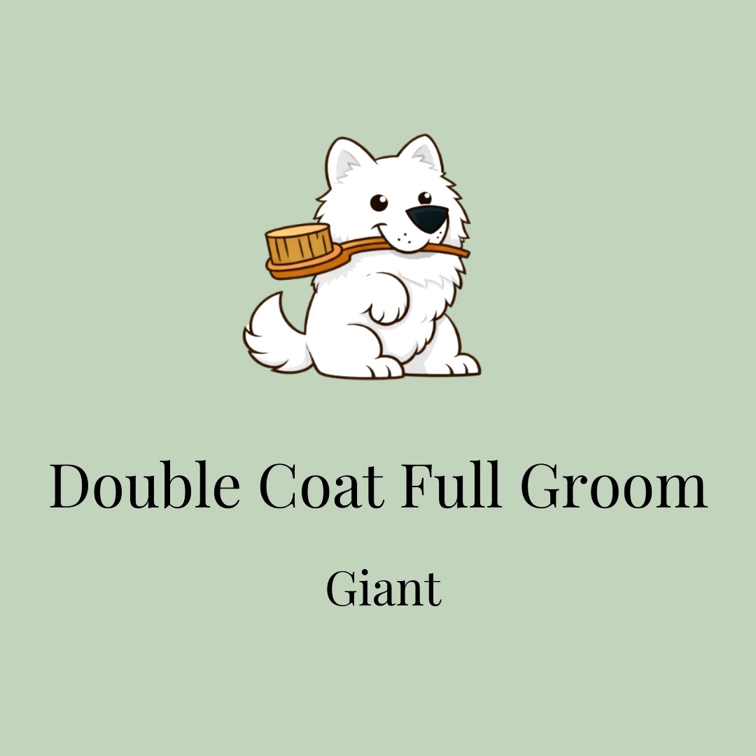 Double Coat Full Groom: Giant