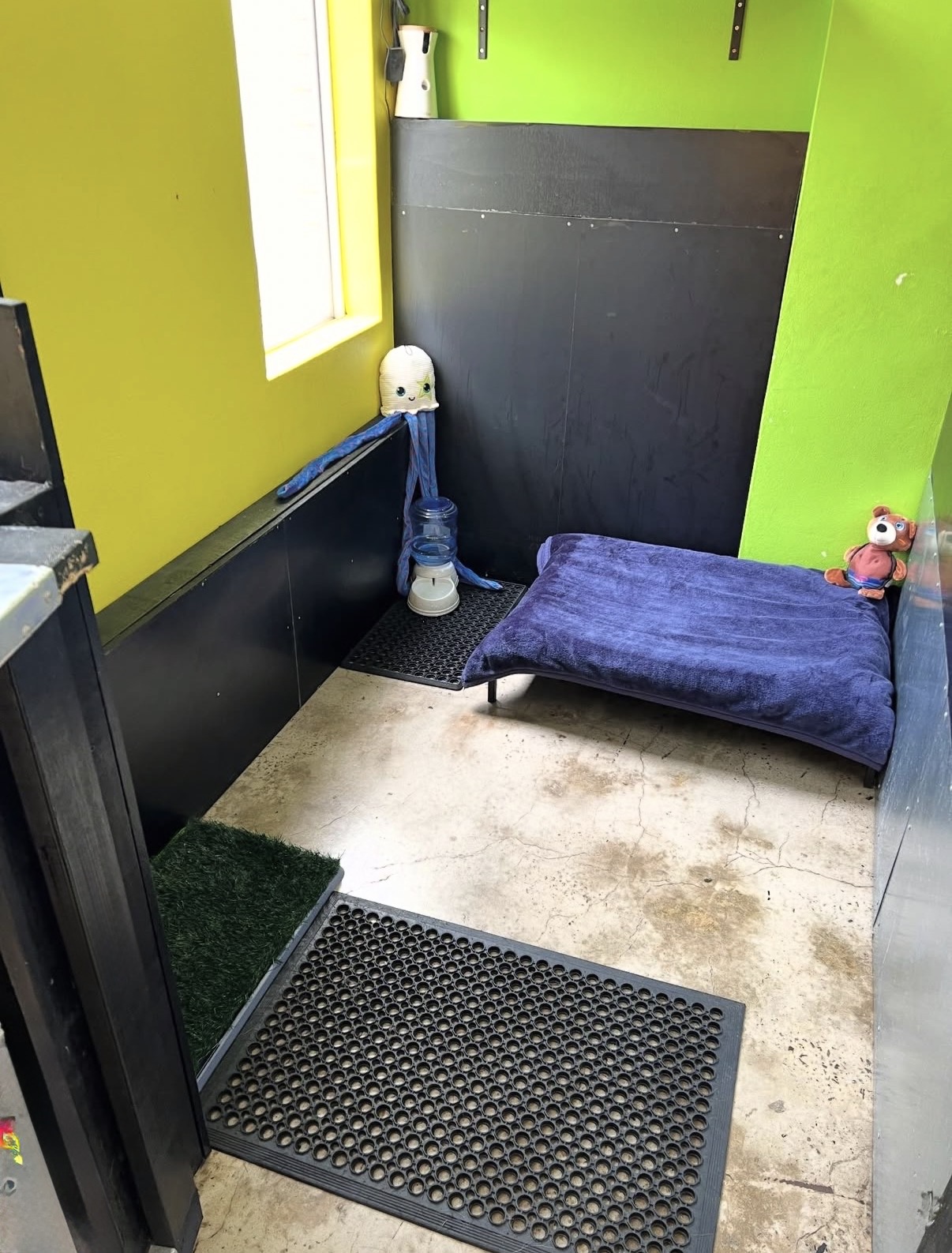 Boarding: Large (Over 25kg) (Copy)