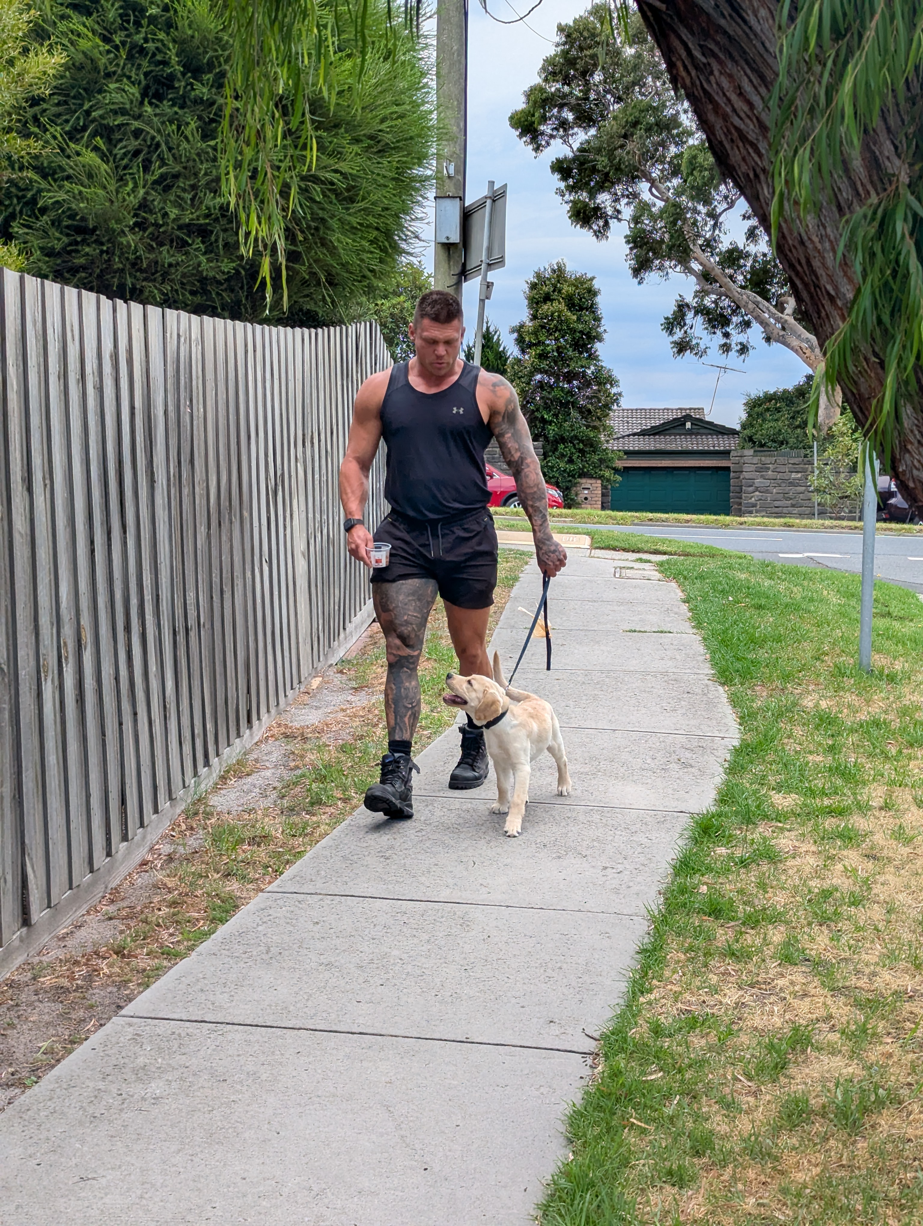 Dog Walking with Dan