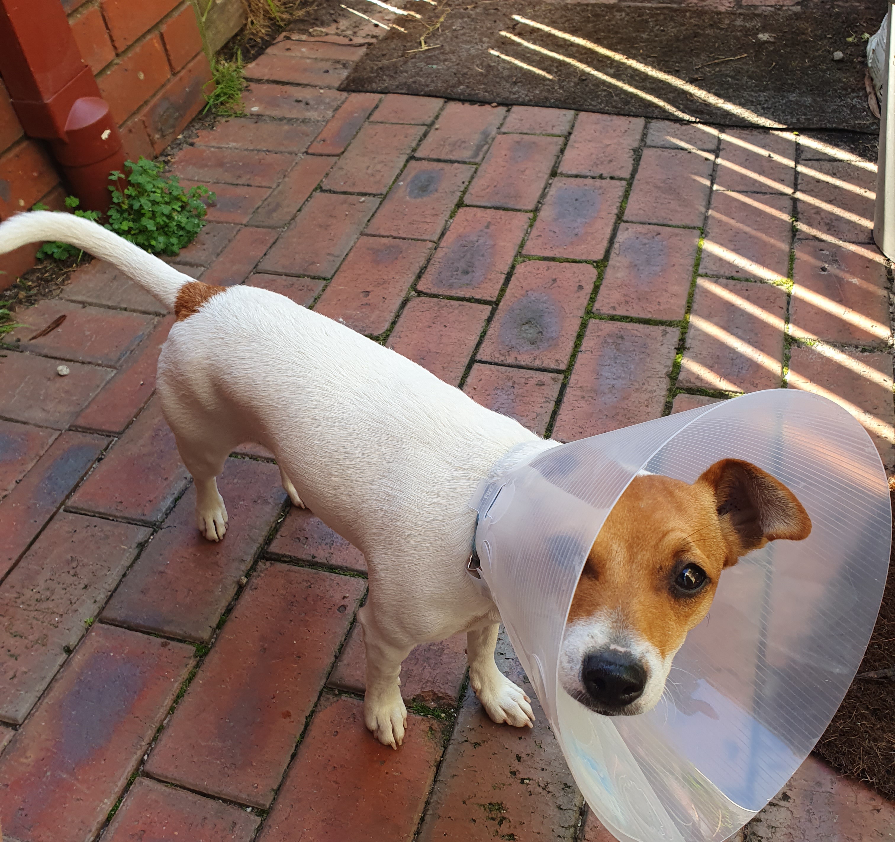 Before or After Surgery Care