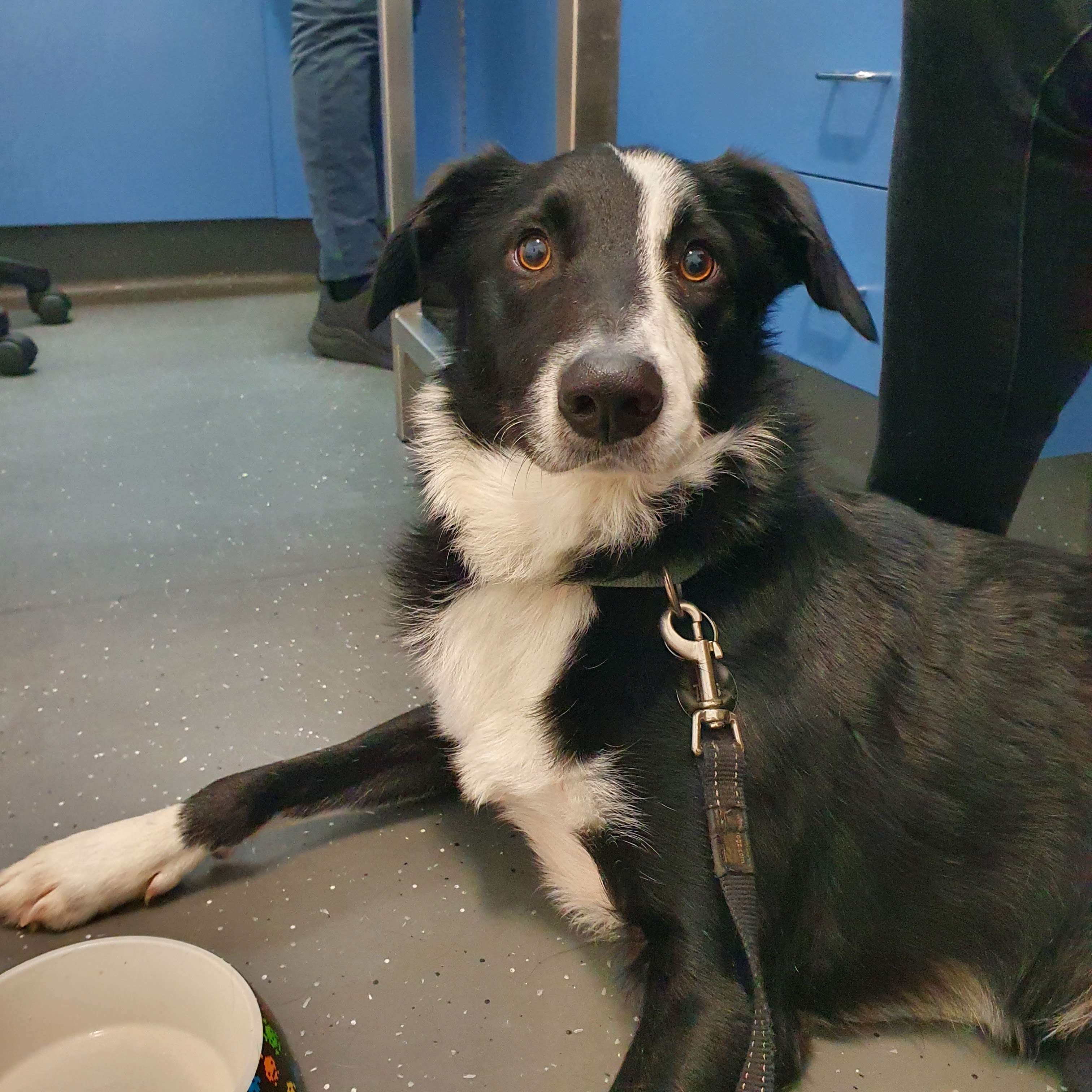 Calm in Clinic - FREE 1st Session