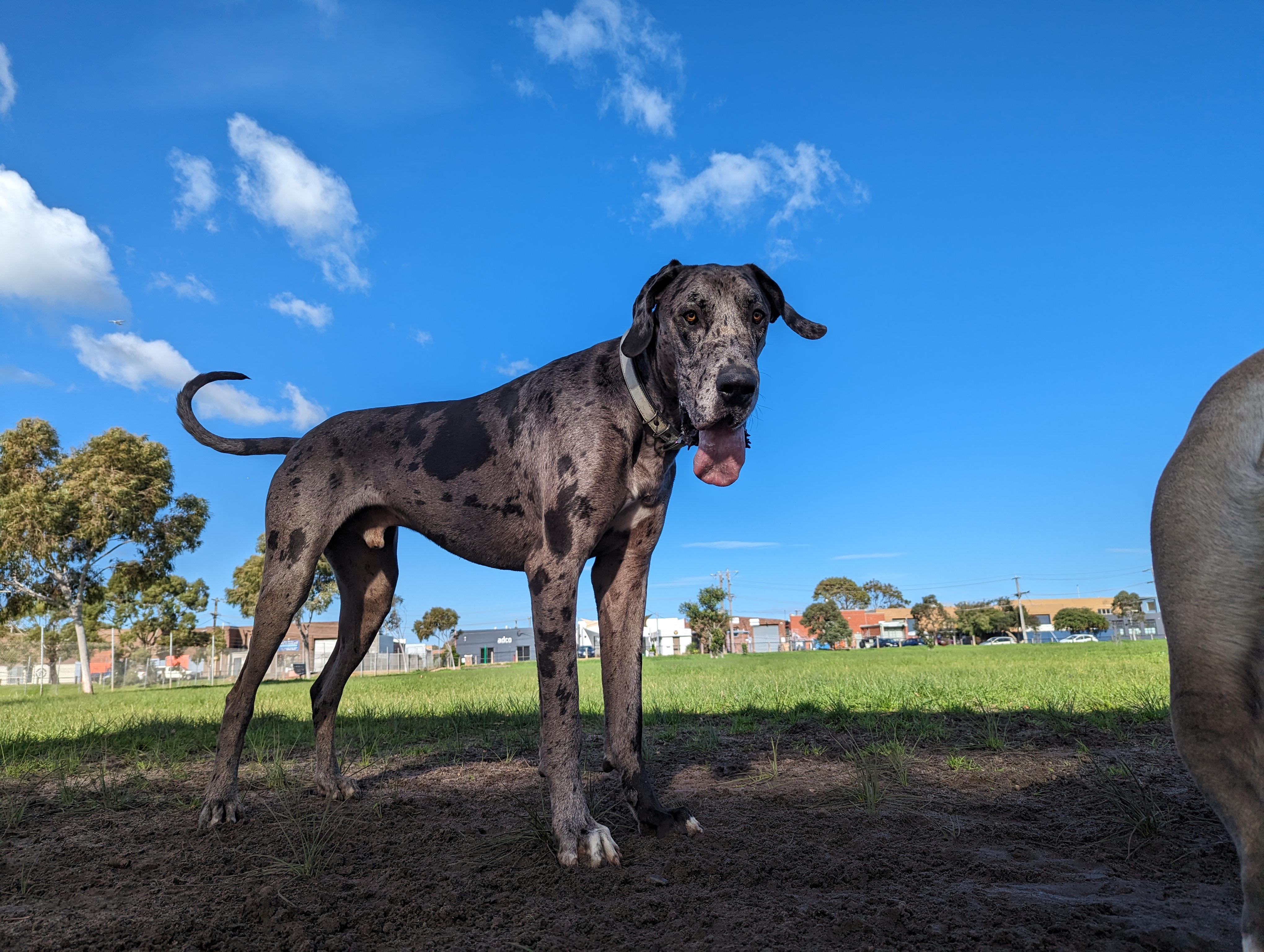 Follow Up Consultation