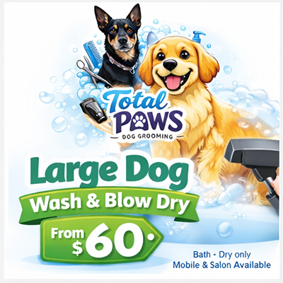 Total Paws pet services