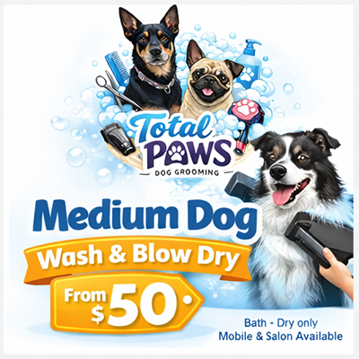 Total Paws pet services