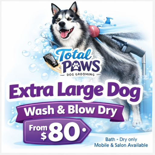 Total Paws pet services