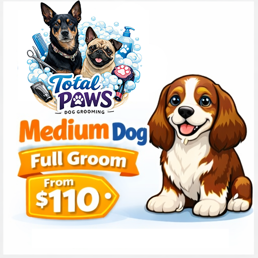 Mobile Full Groom: Medium