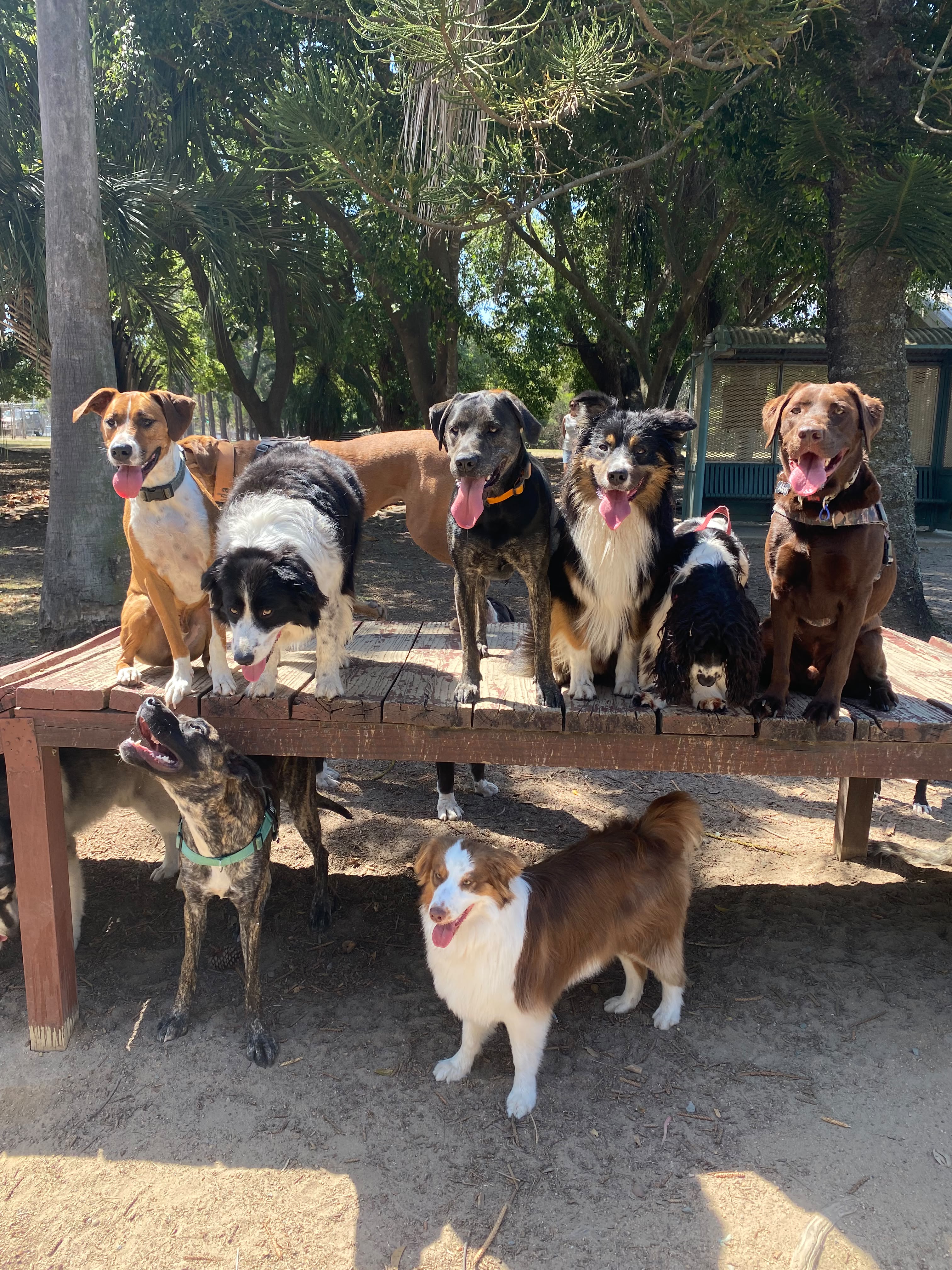 Group Adventure (2.5 hours) North Side BNE