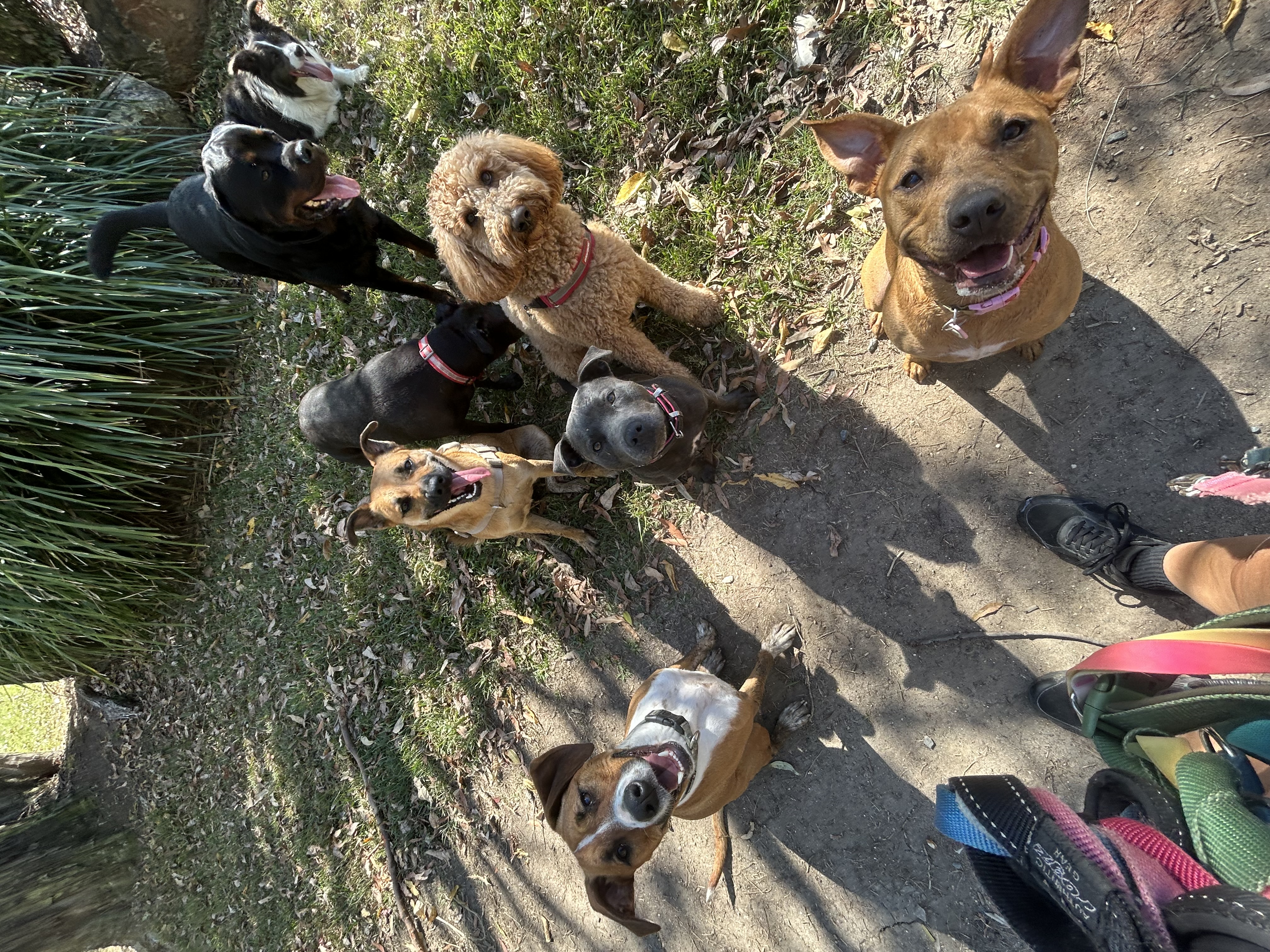 Group Adventure (2.5 hours) South Side BNE