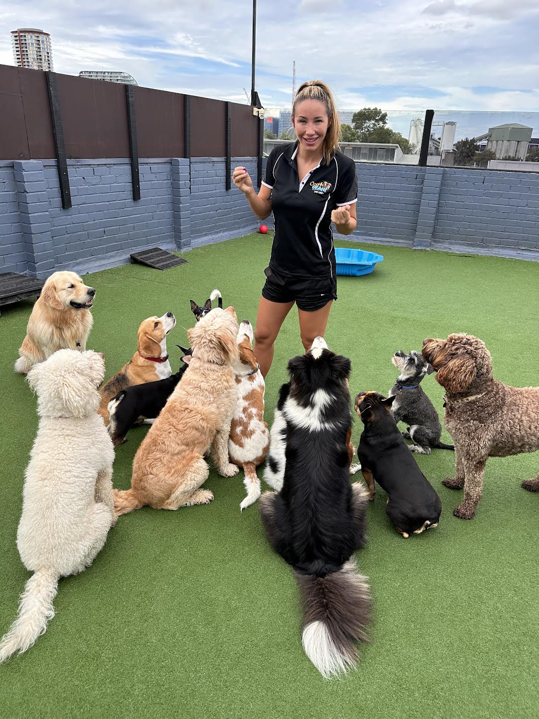 Intro Assessment + All Day Daycare Special