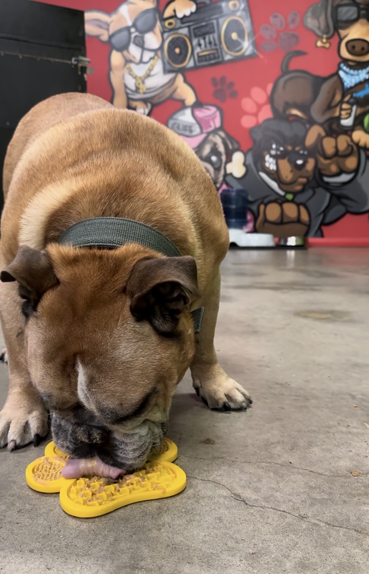 Doggy Peanut Butter Lick Mat