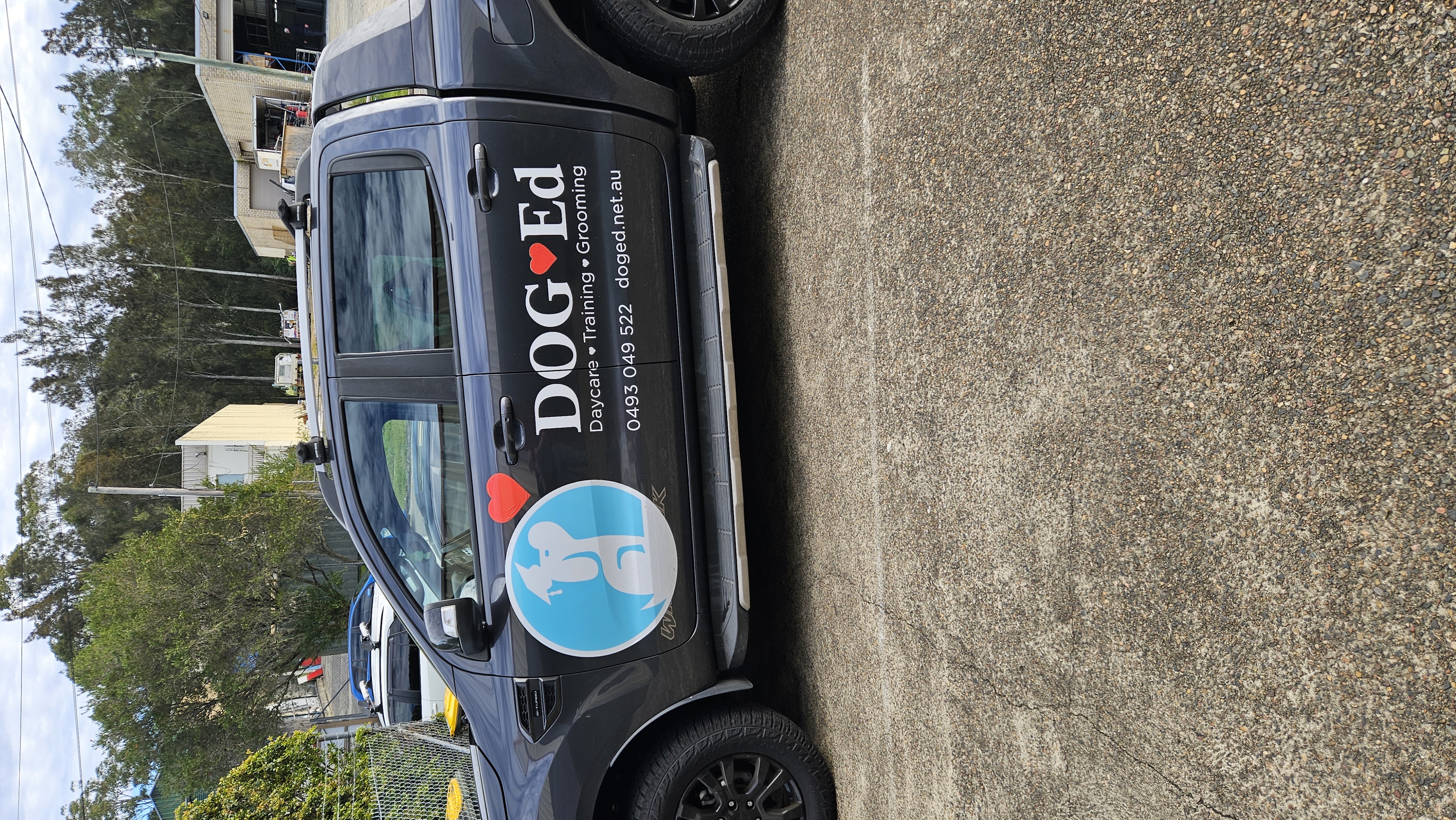 DogEd Group pet services