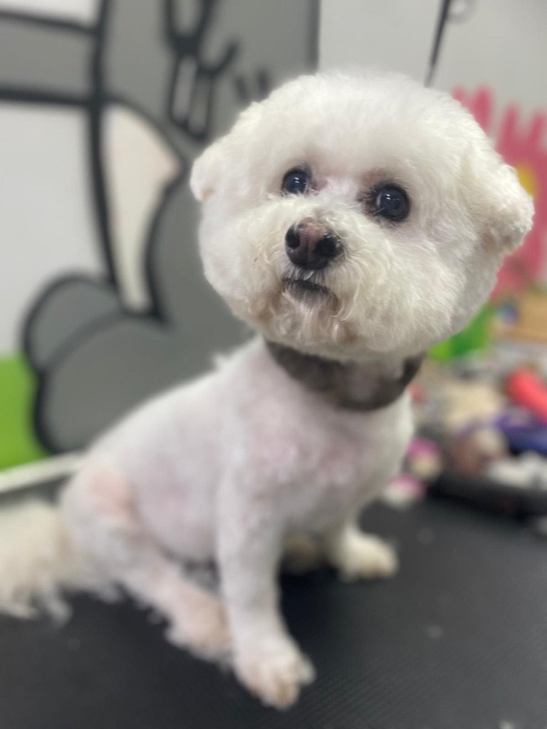 Tidy Groom Small 0-10kgs