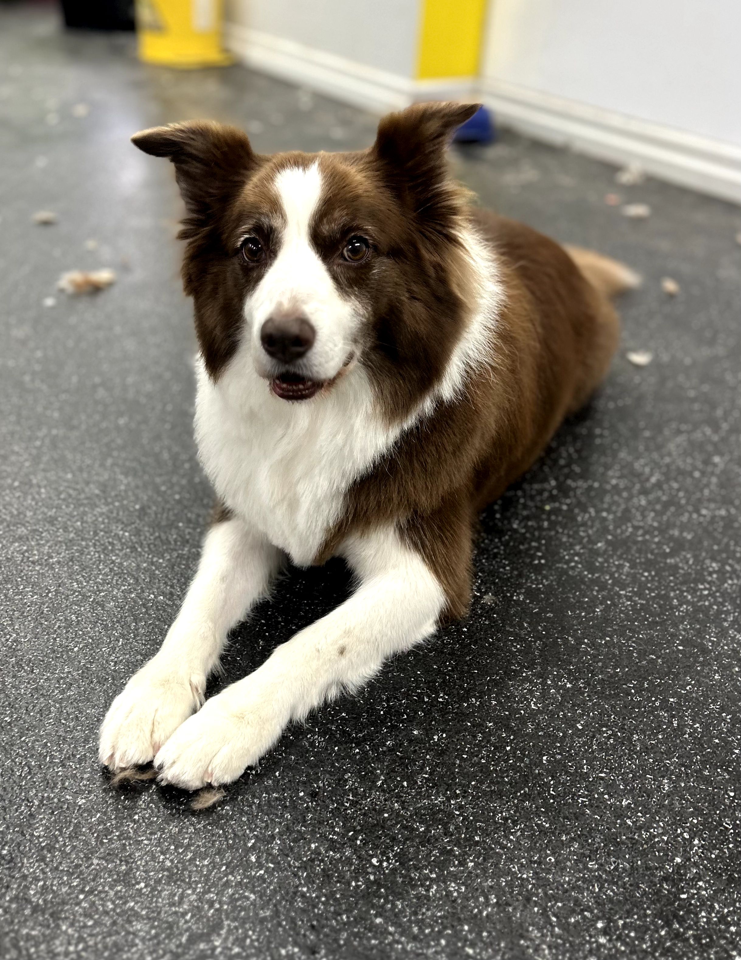 Daycare Full Day