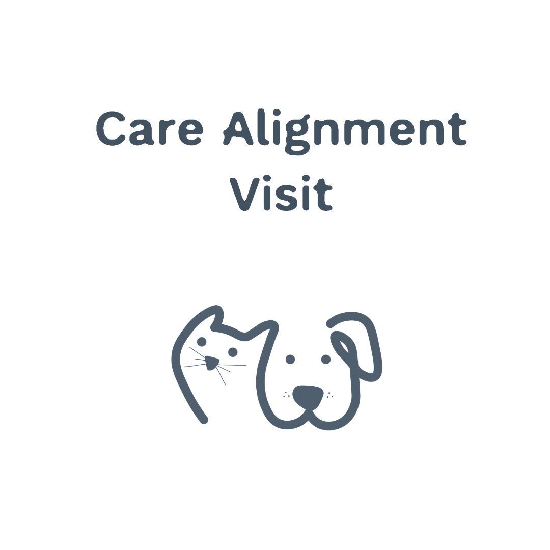 Posh Paws Gold Coast pet services