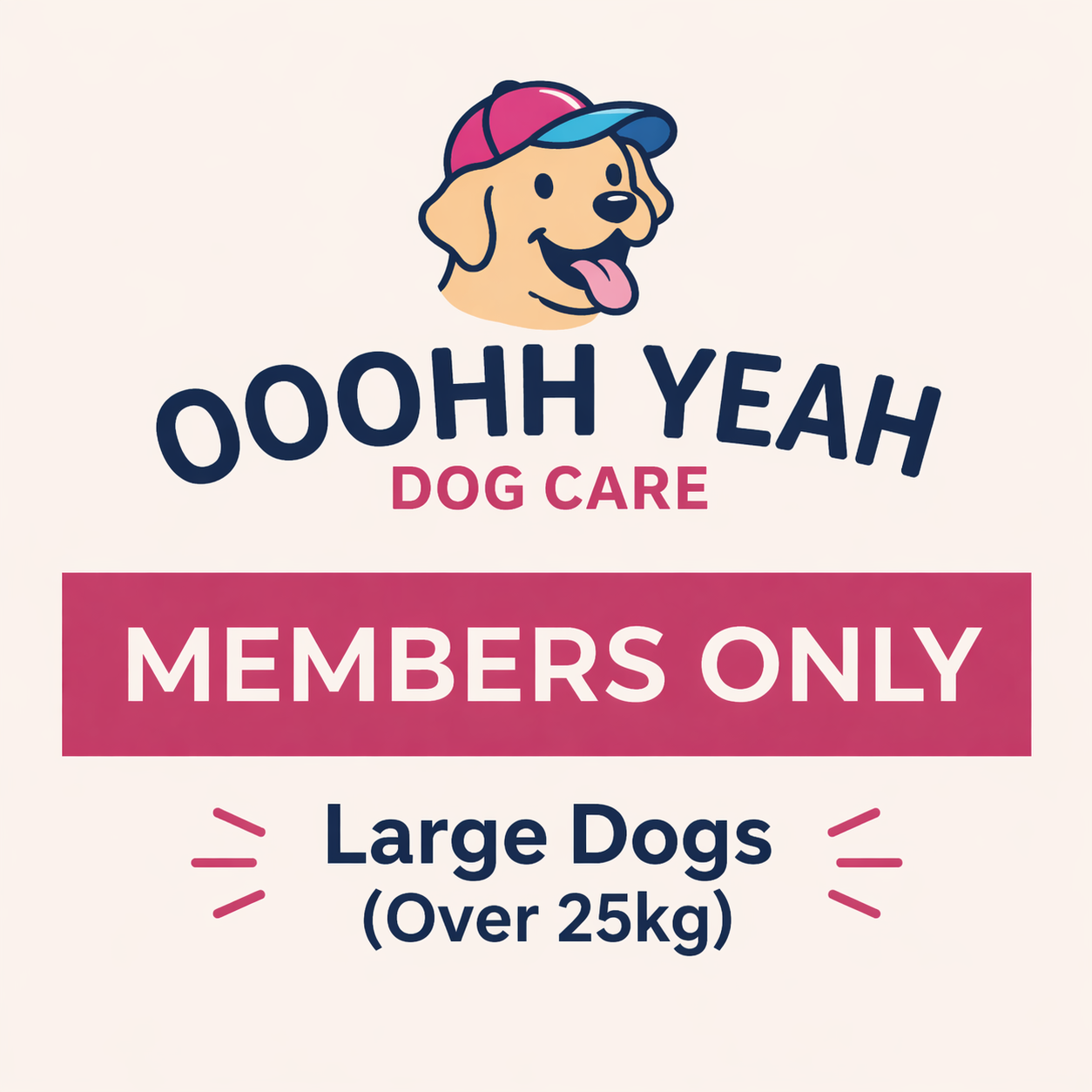 Membership: Daycare Large Dog MEMBERS ONLY For Dogs 25kg and Above