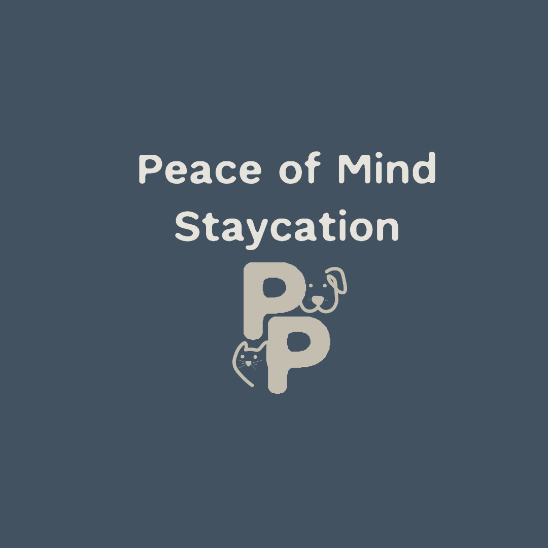 Peace of Mind Staycation (min 4 x nights)
