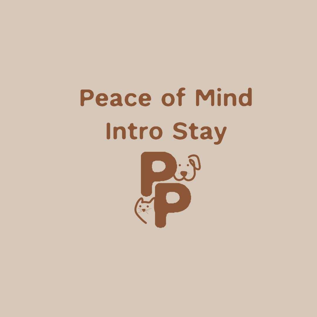 Peace of Mind Intro Stay (New Clients Only)