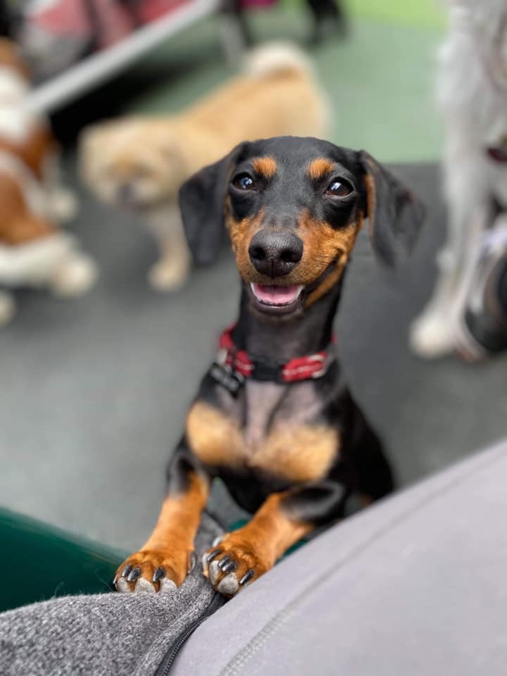 2hrs Daycare