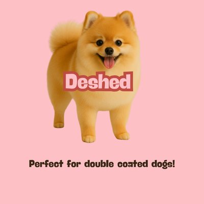 Small Dog Deshed