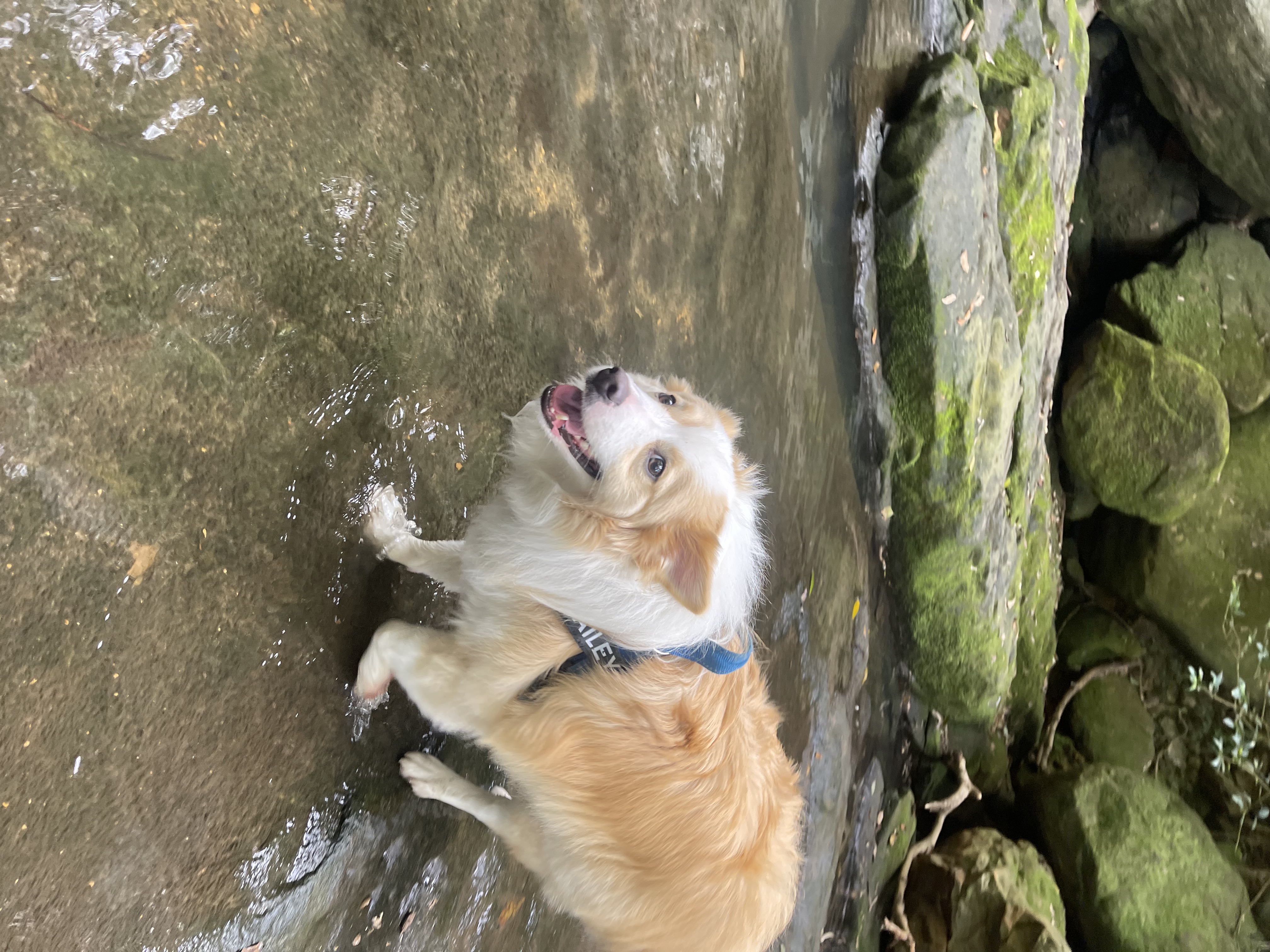 60-Minute Solo Walk