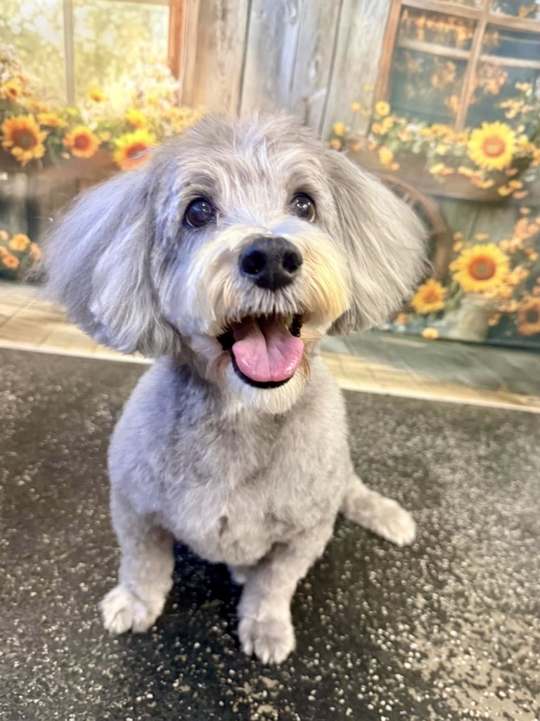 New Client Groom