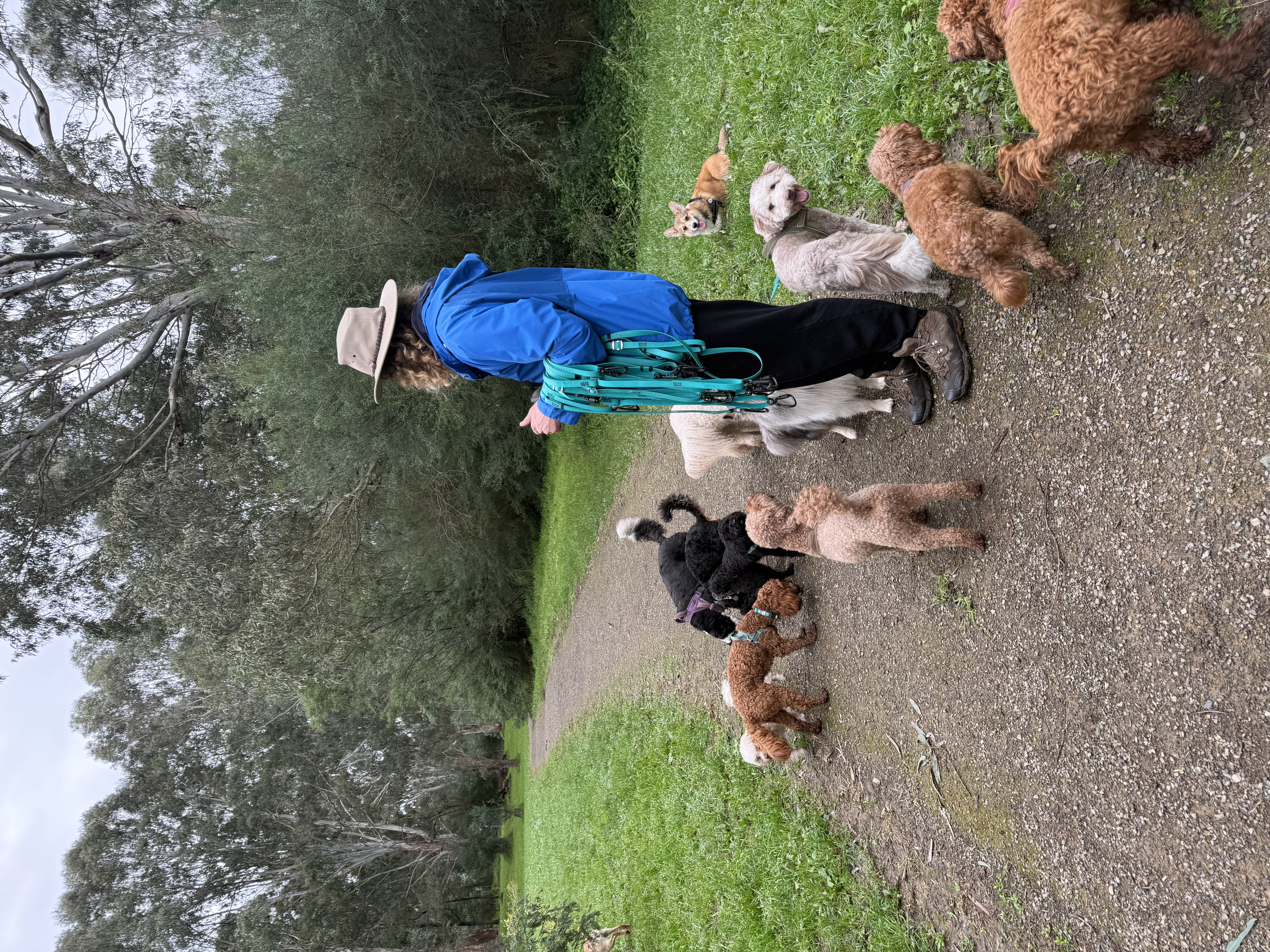 Daycare