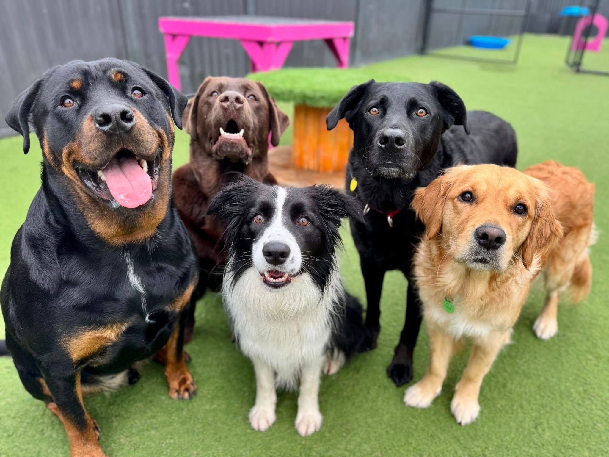 Full Day Daycare