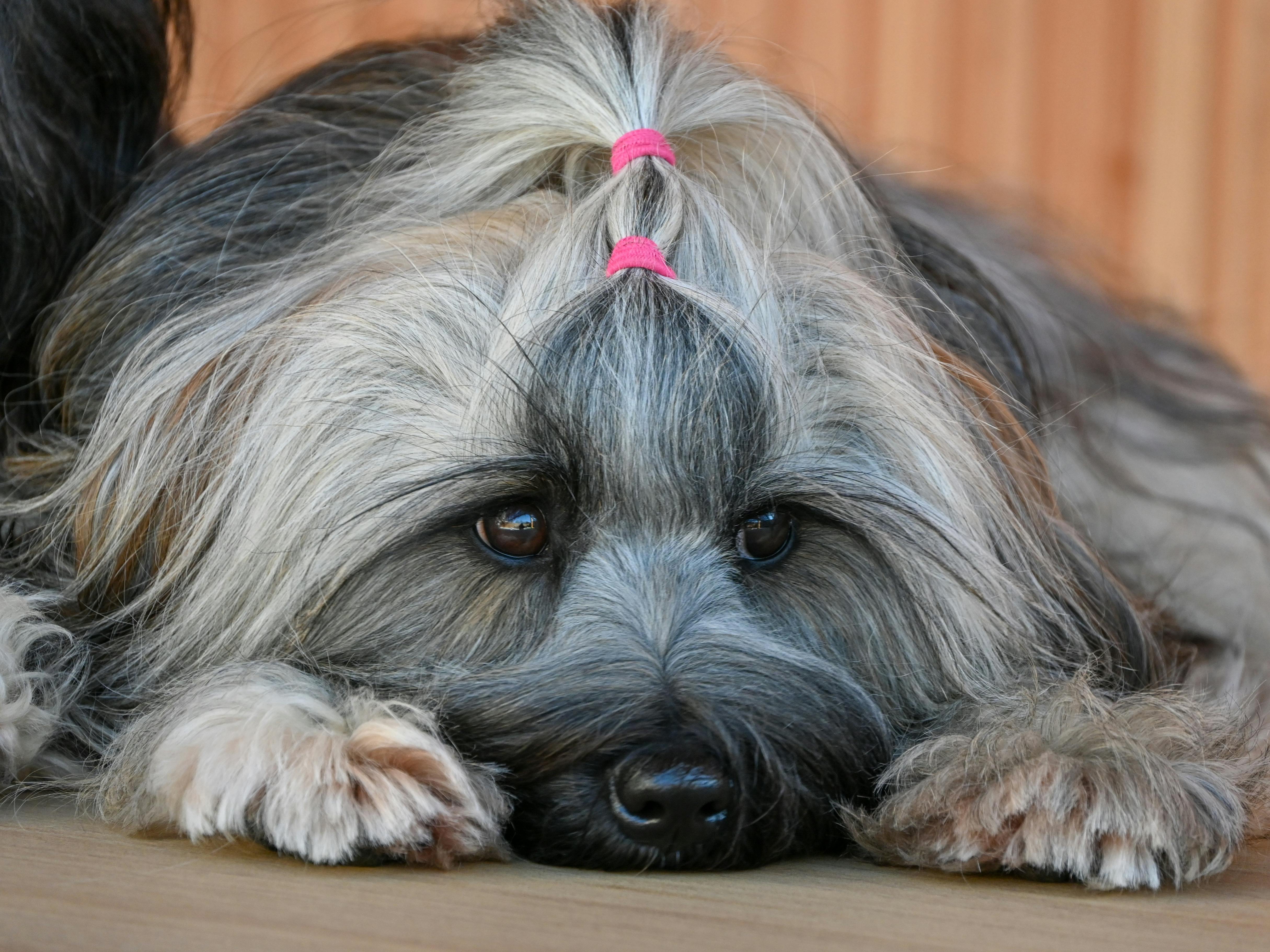 Hair Braiding