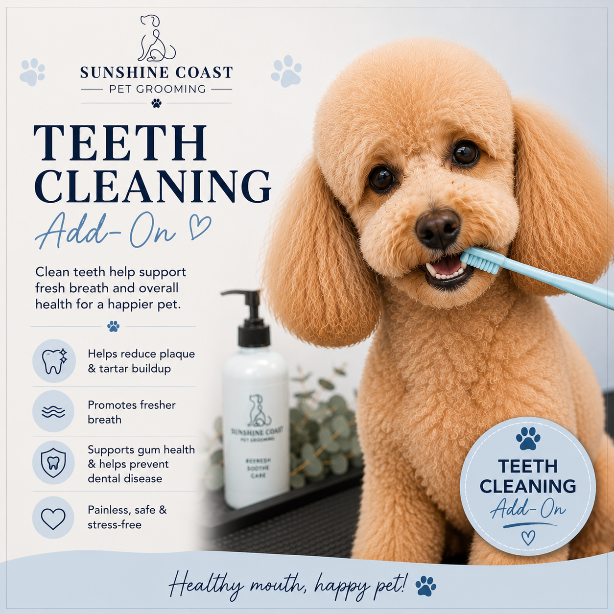Teeth cleaning