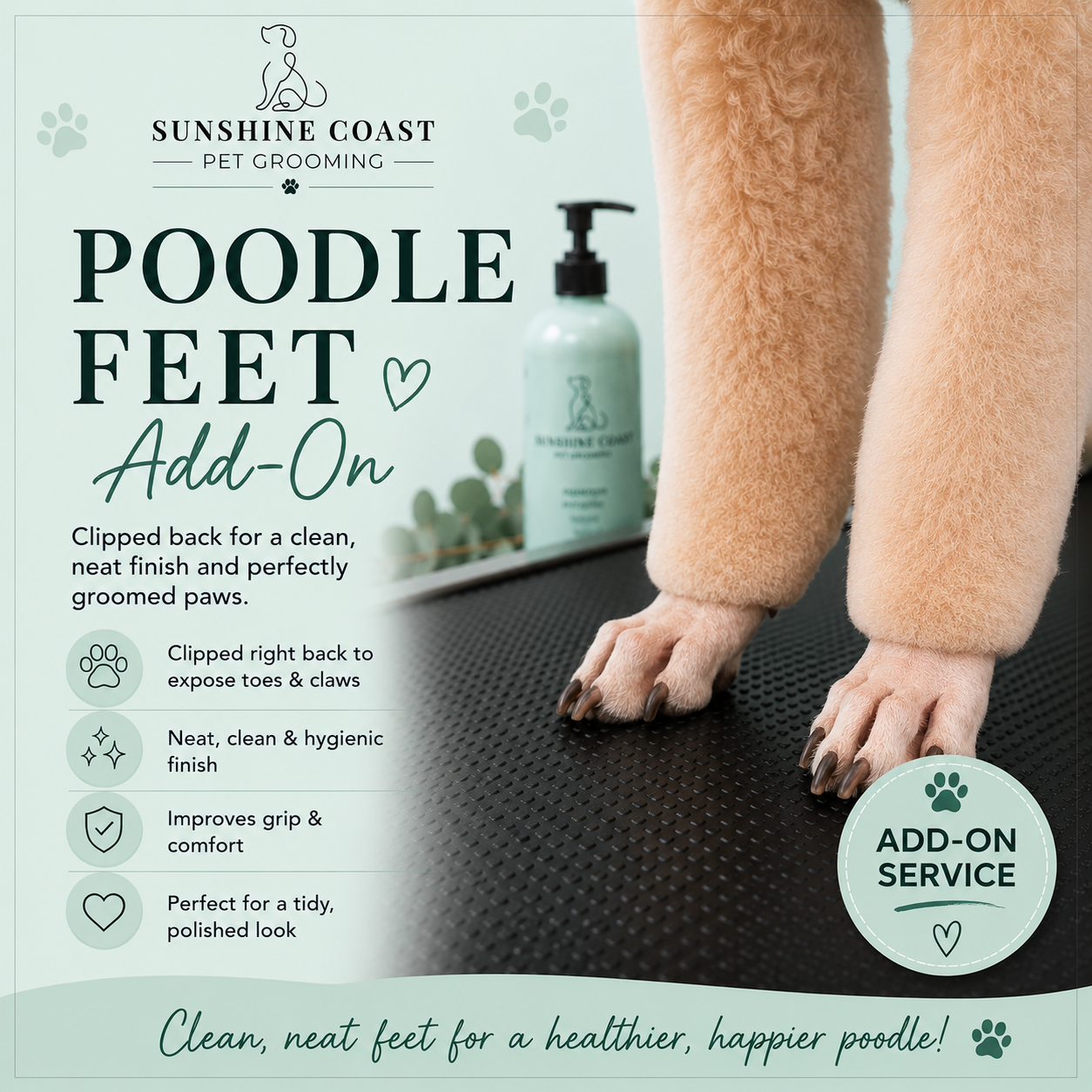 Poodle feet (ONLY)