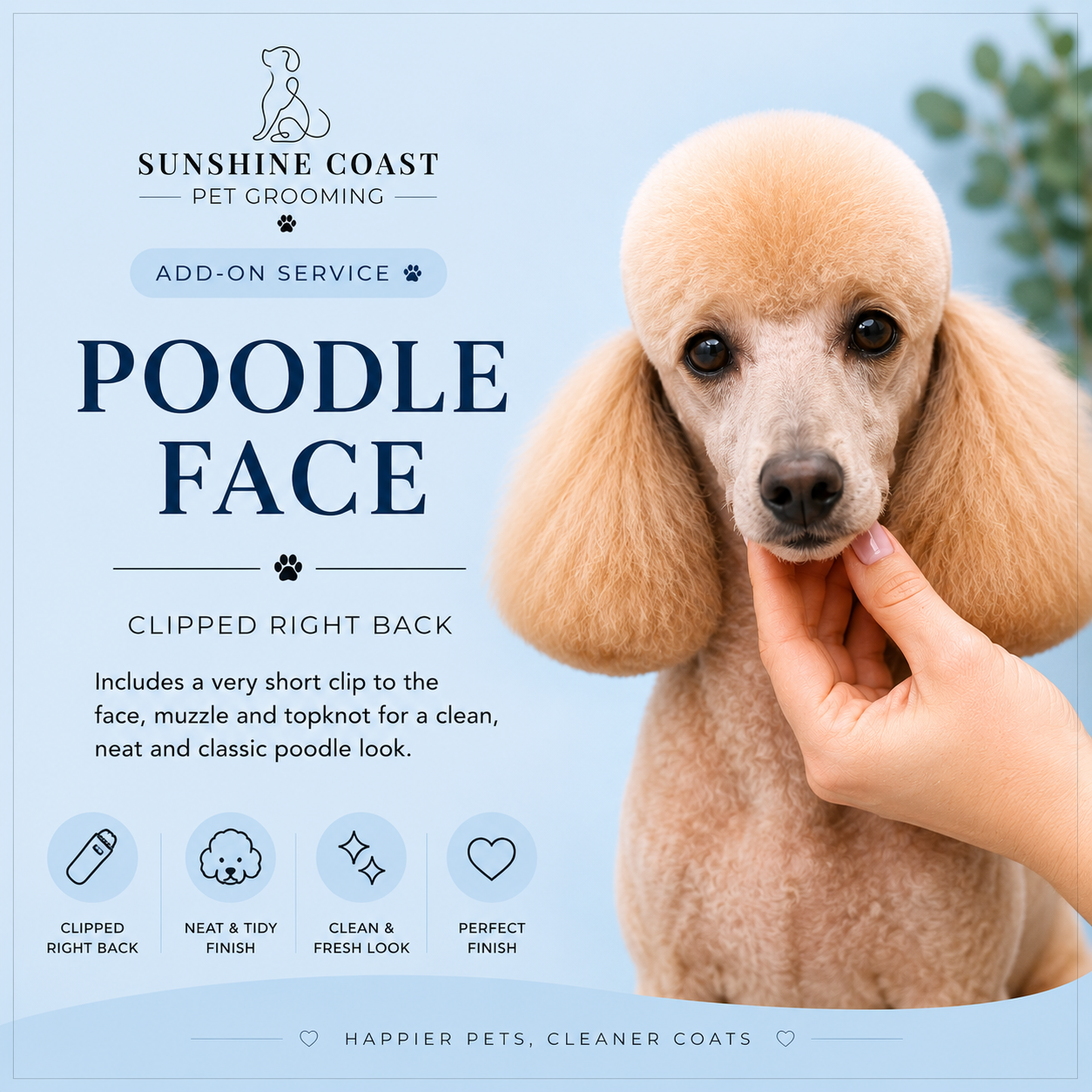 Poodle Face (ONLY)