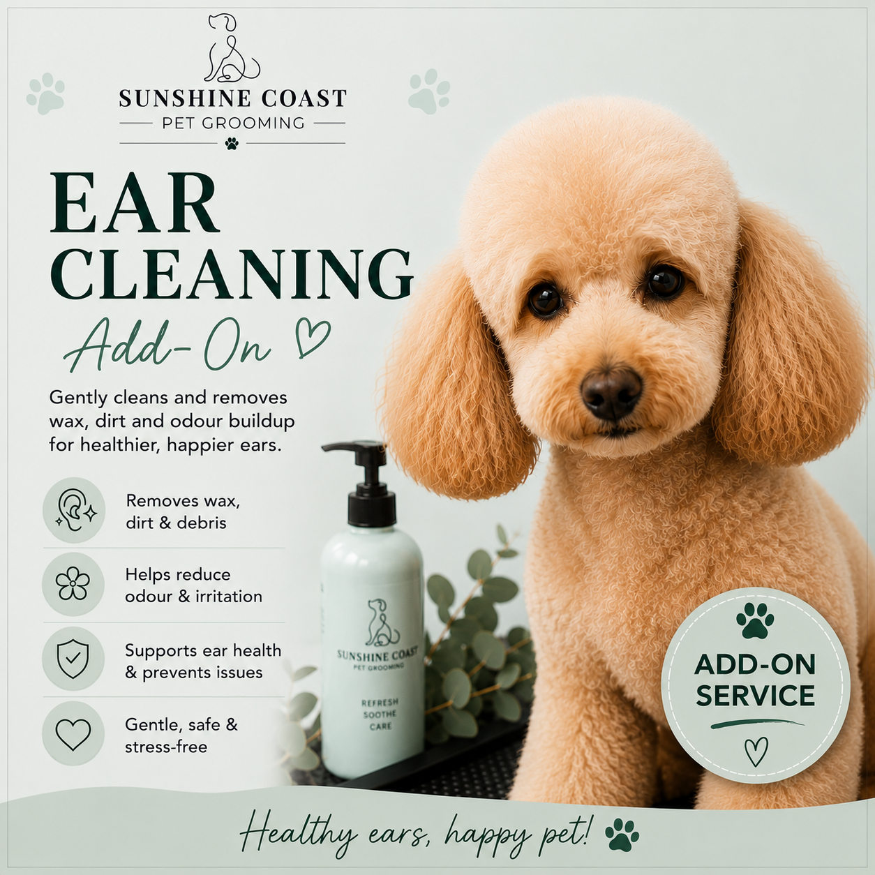 Ear clean