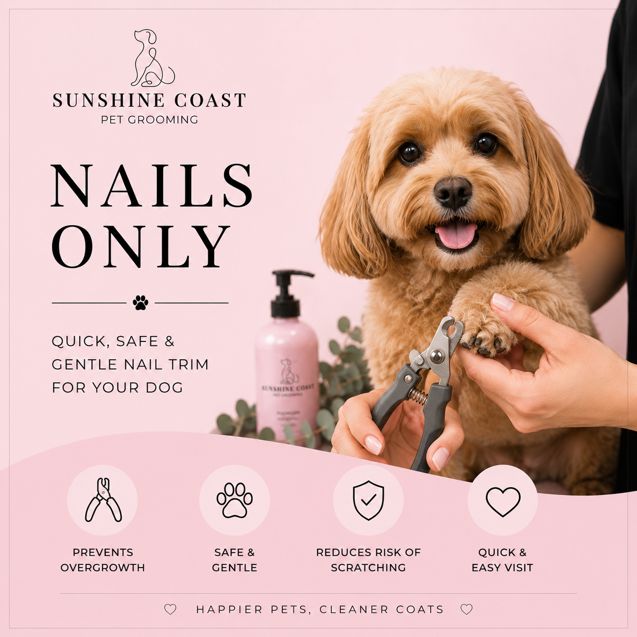 Nails Only