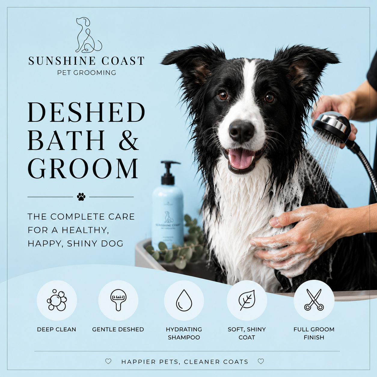 Deshed Bath & Finish - XL