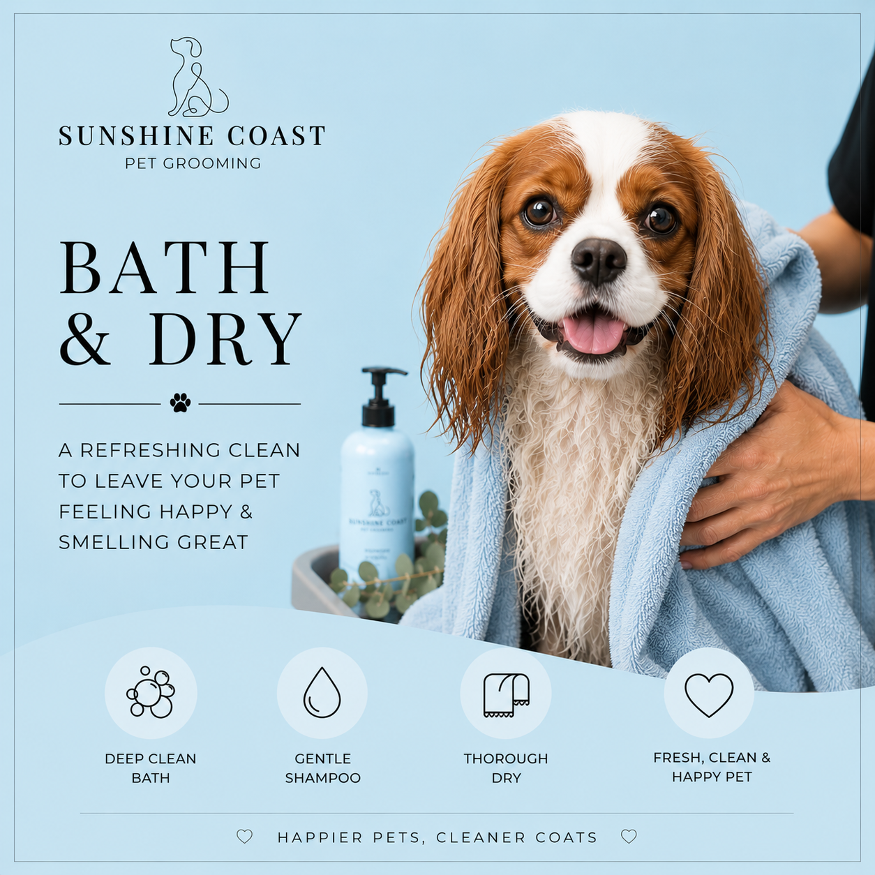 Salon Bath and Dry - Medium Short Hair