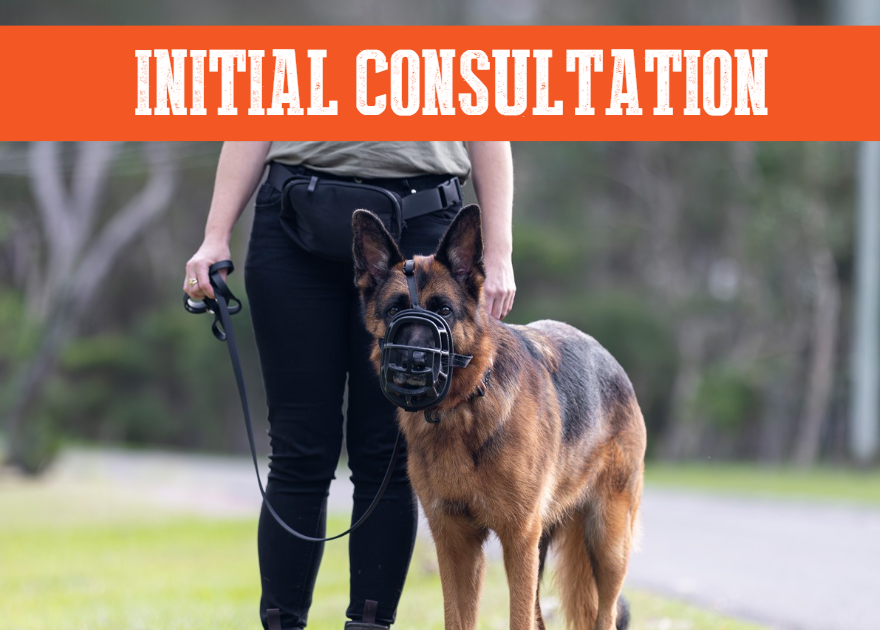 Initial Consult