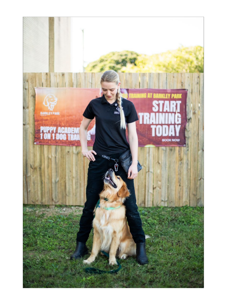 Dog Training | One-on-One Session