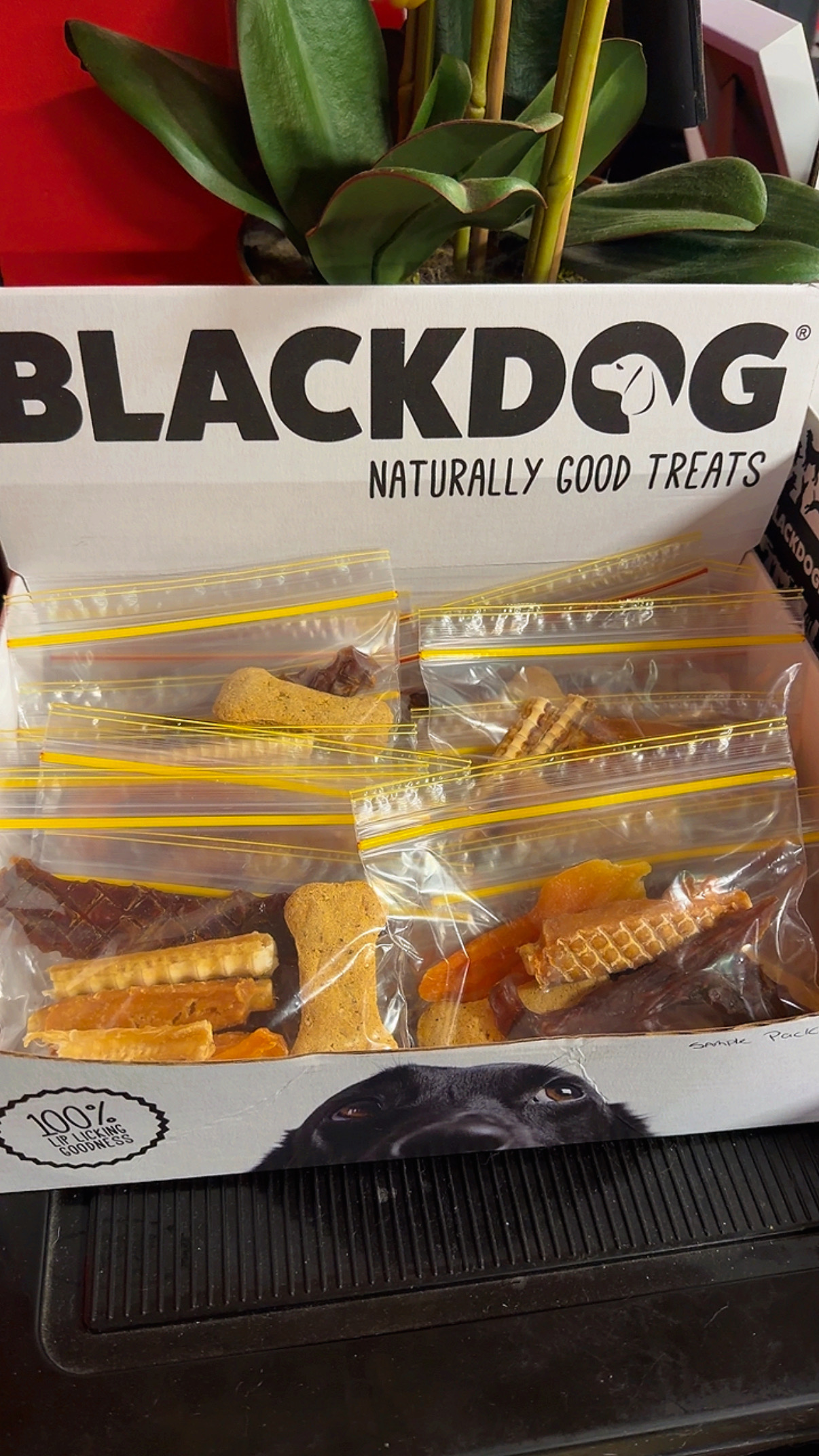 Sample pack for a lunch time snack.