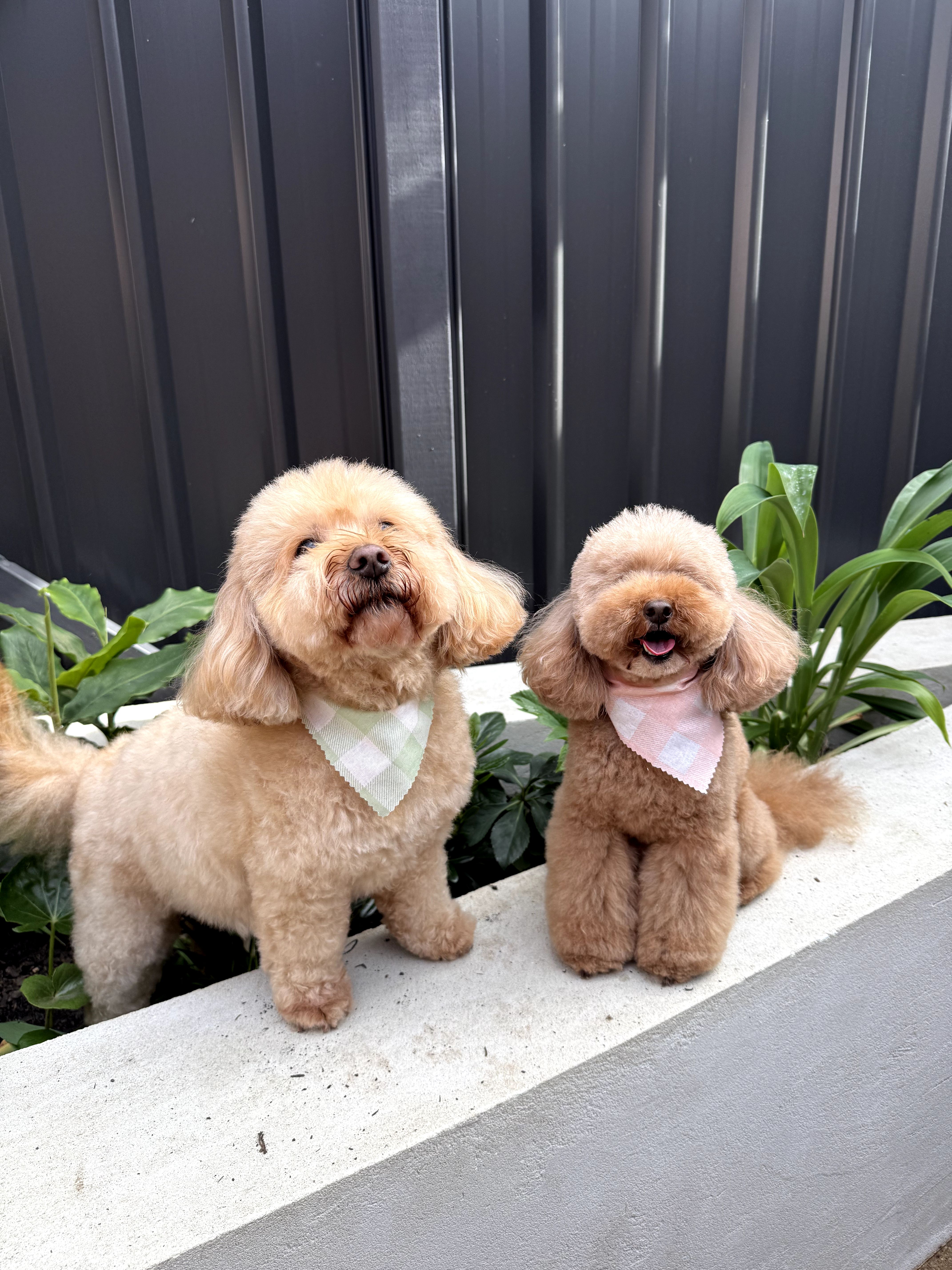Full-Day Play
