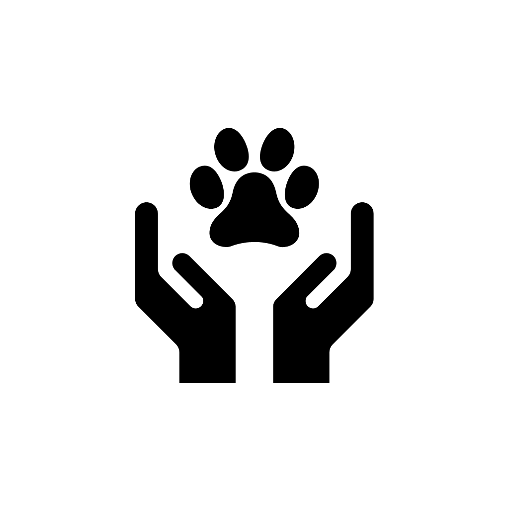 Canine Body Work with Shemaya