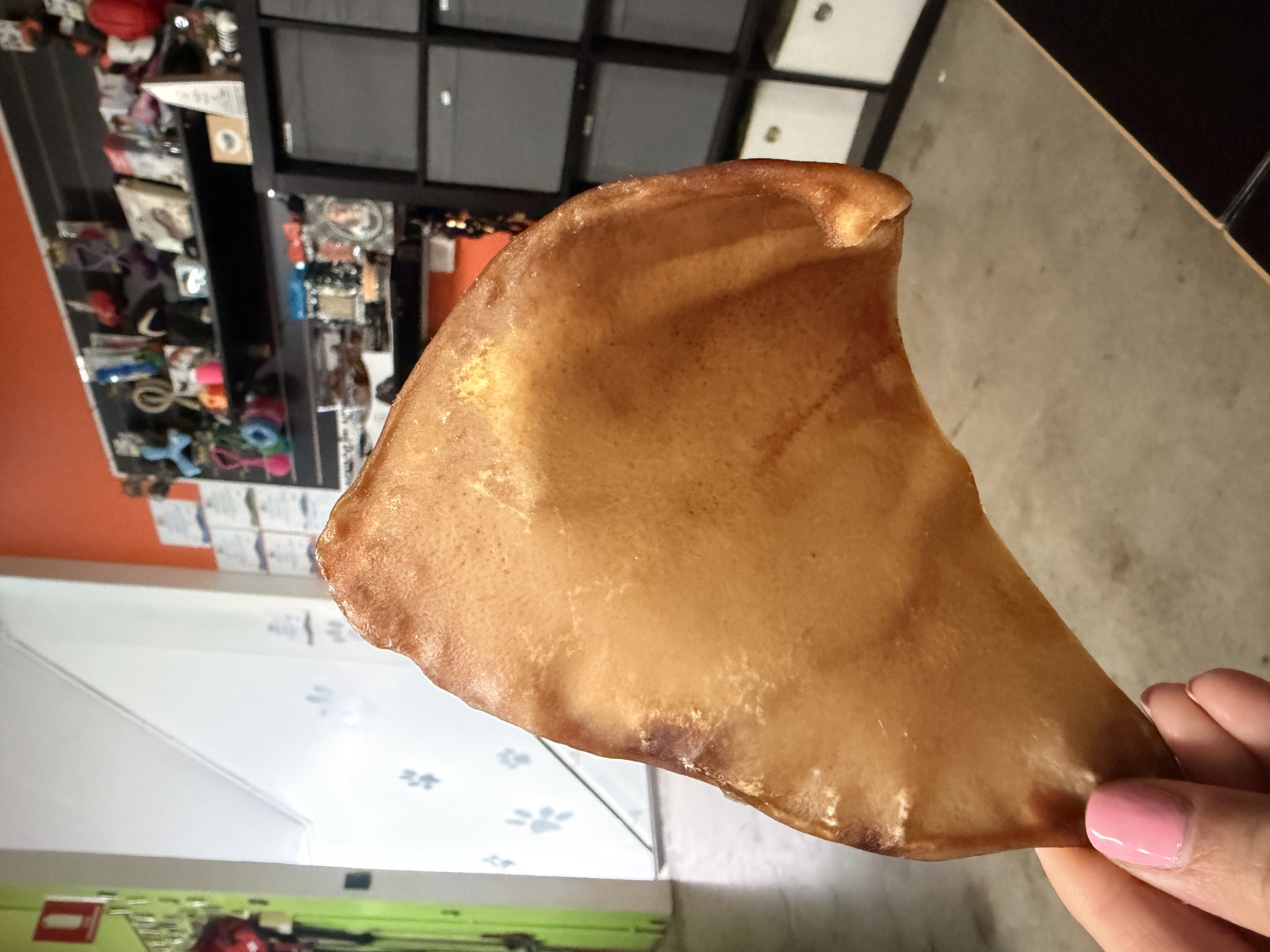 Pigs Ear