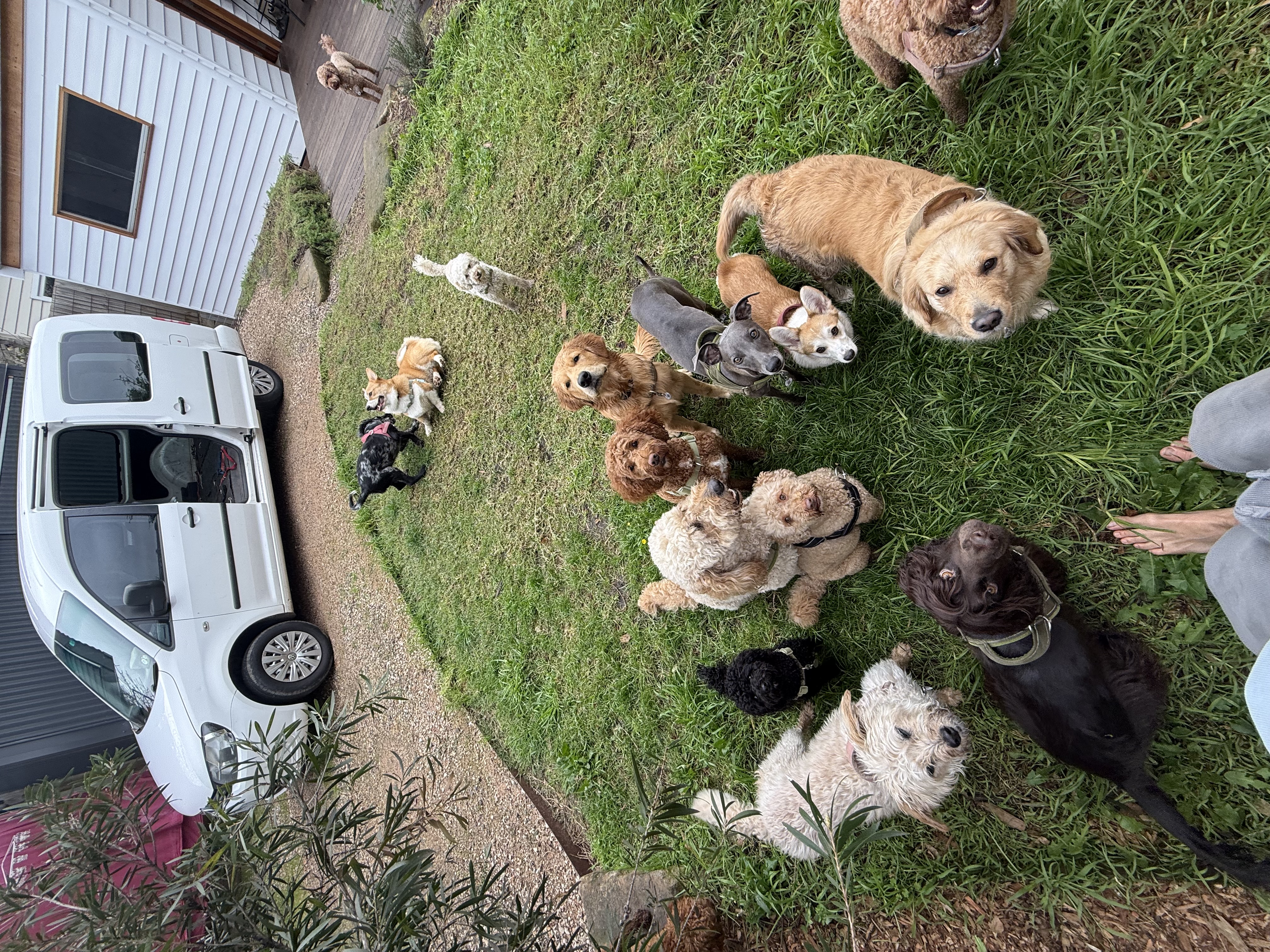 Weekend Daycare
