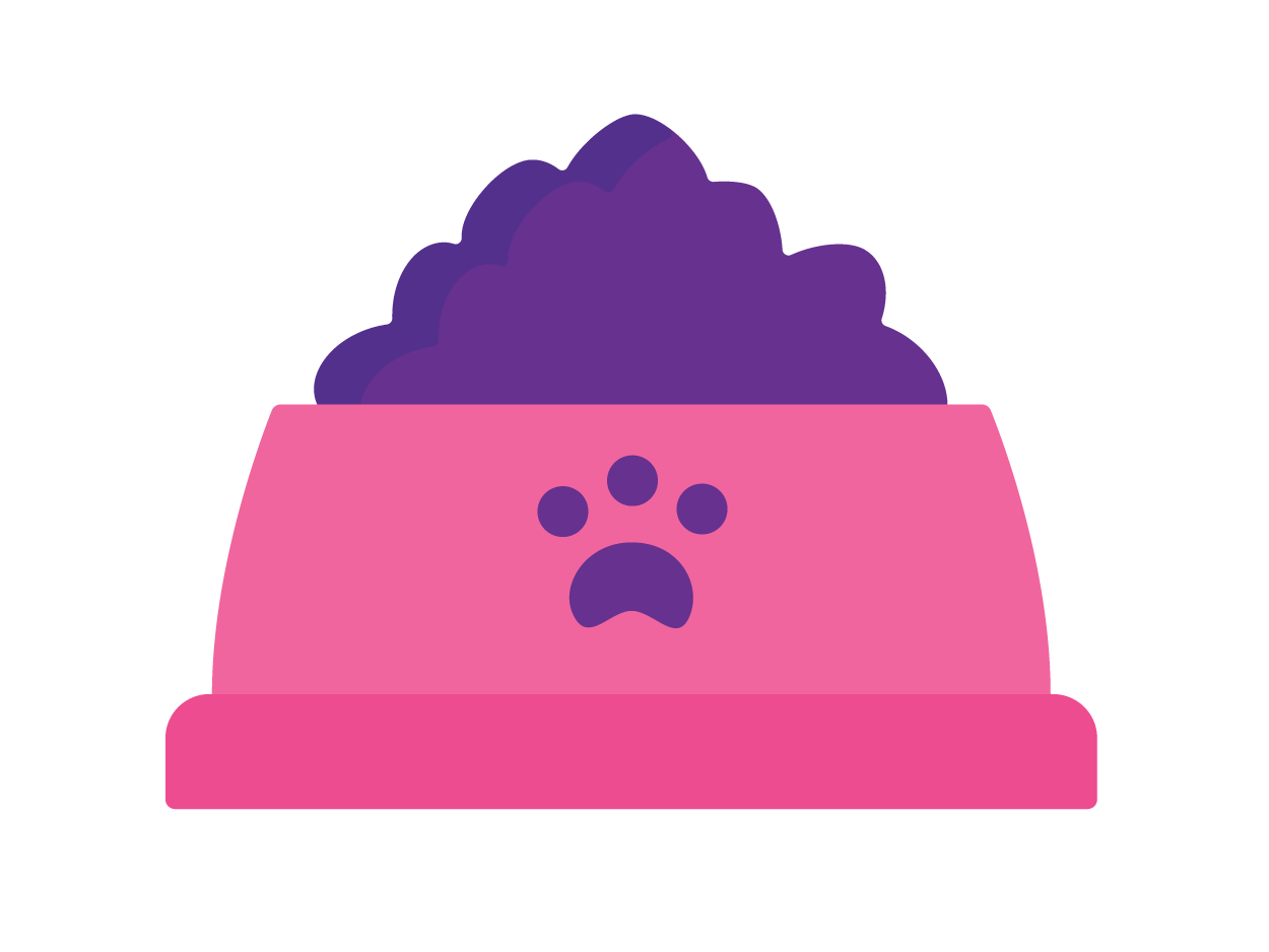 Pet Care Visit