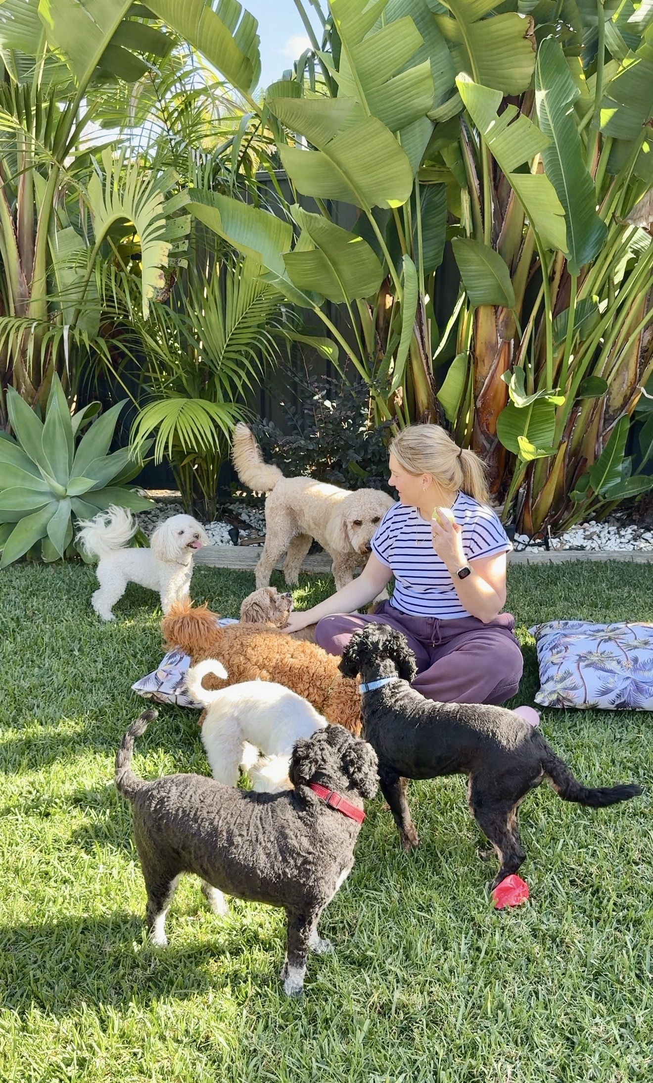 Club Daycare Session (Weekly/Fortnightly)