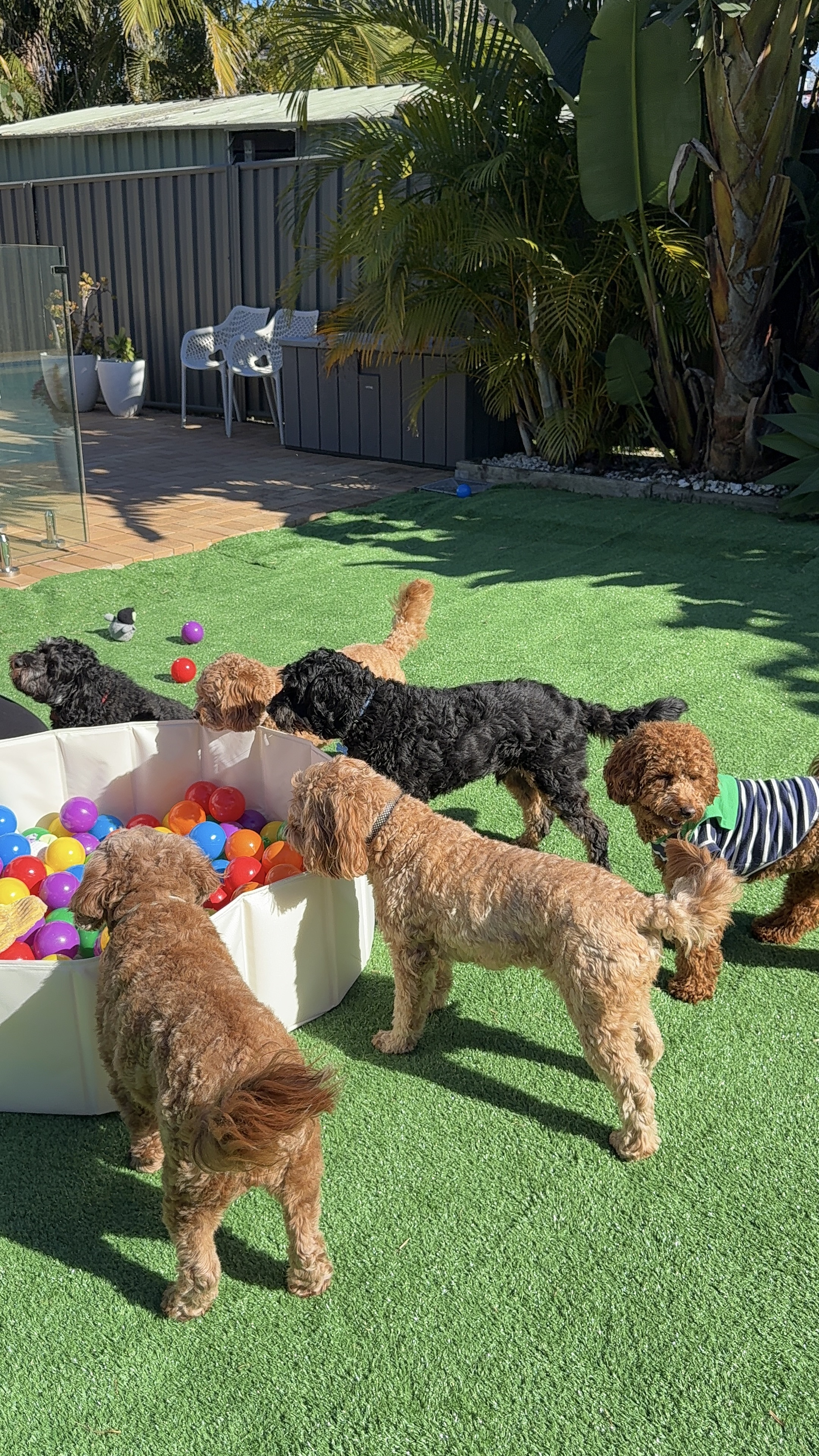 Club Daycare Session