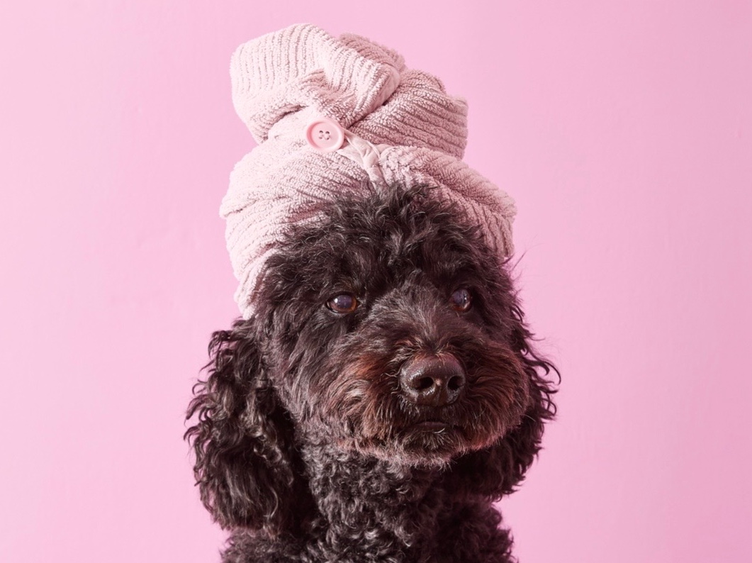 Wash & Tidy: Medium
