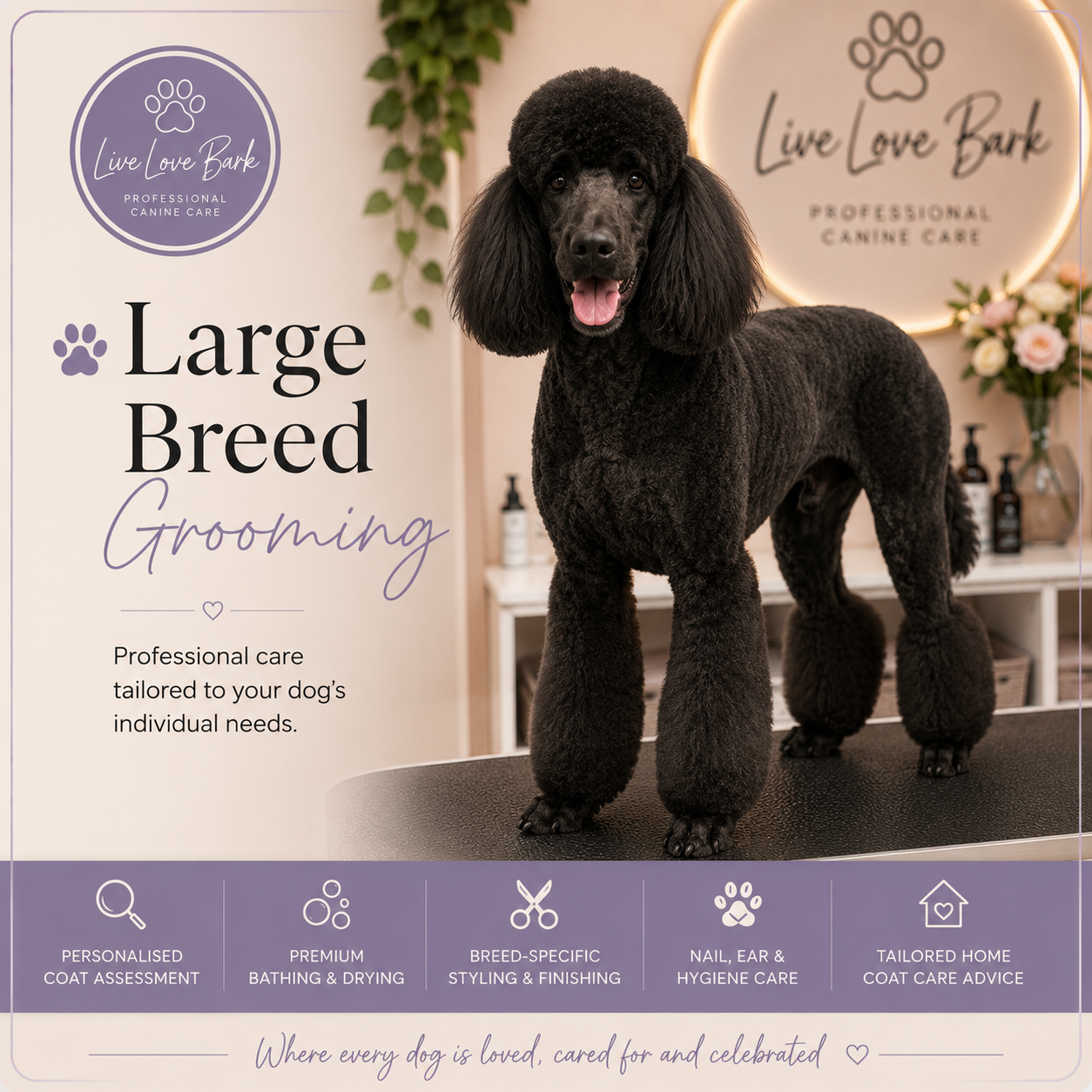 🐶 Large Breed Grooming